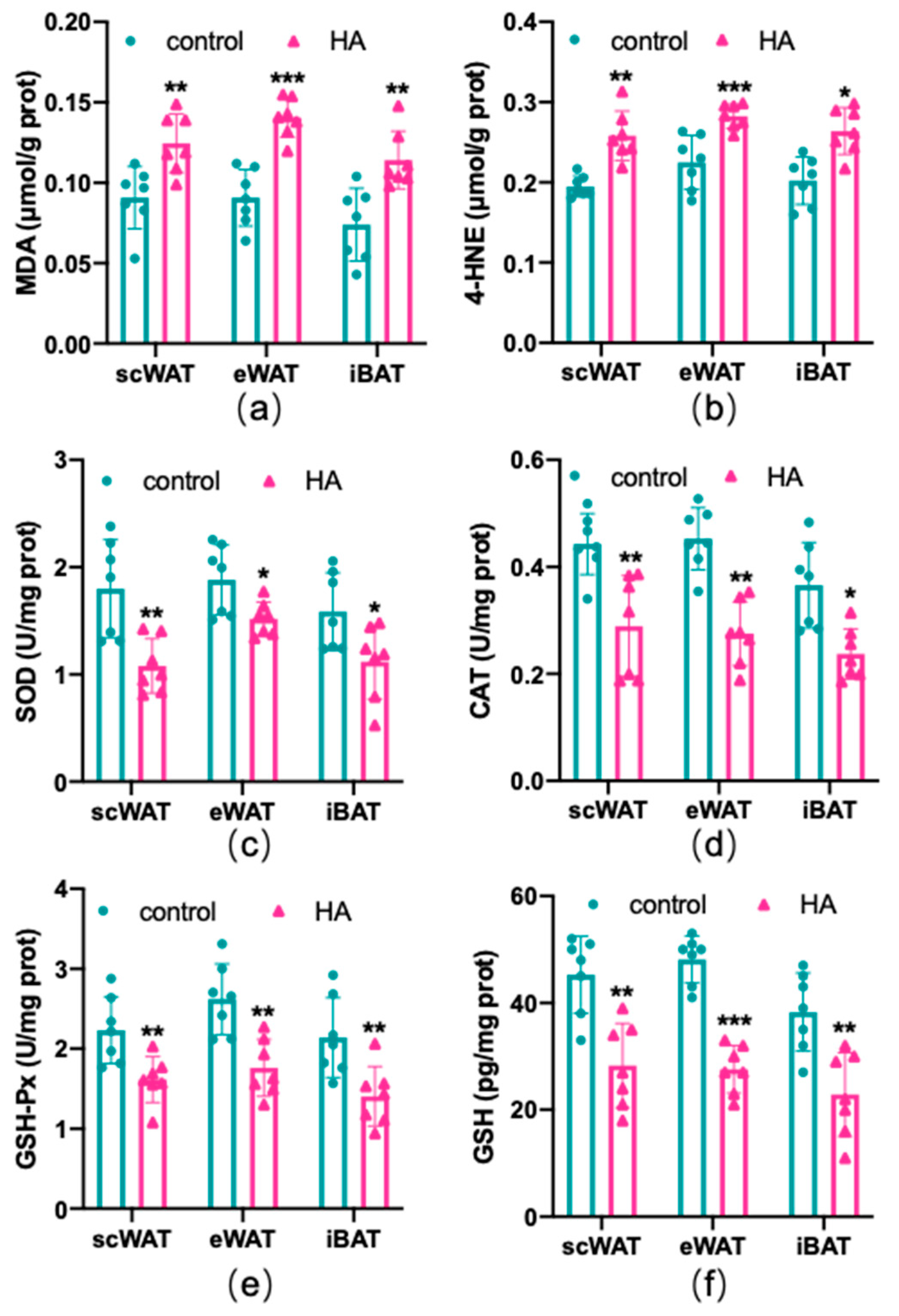 Antioxidants 11 02367 g004