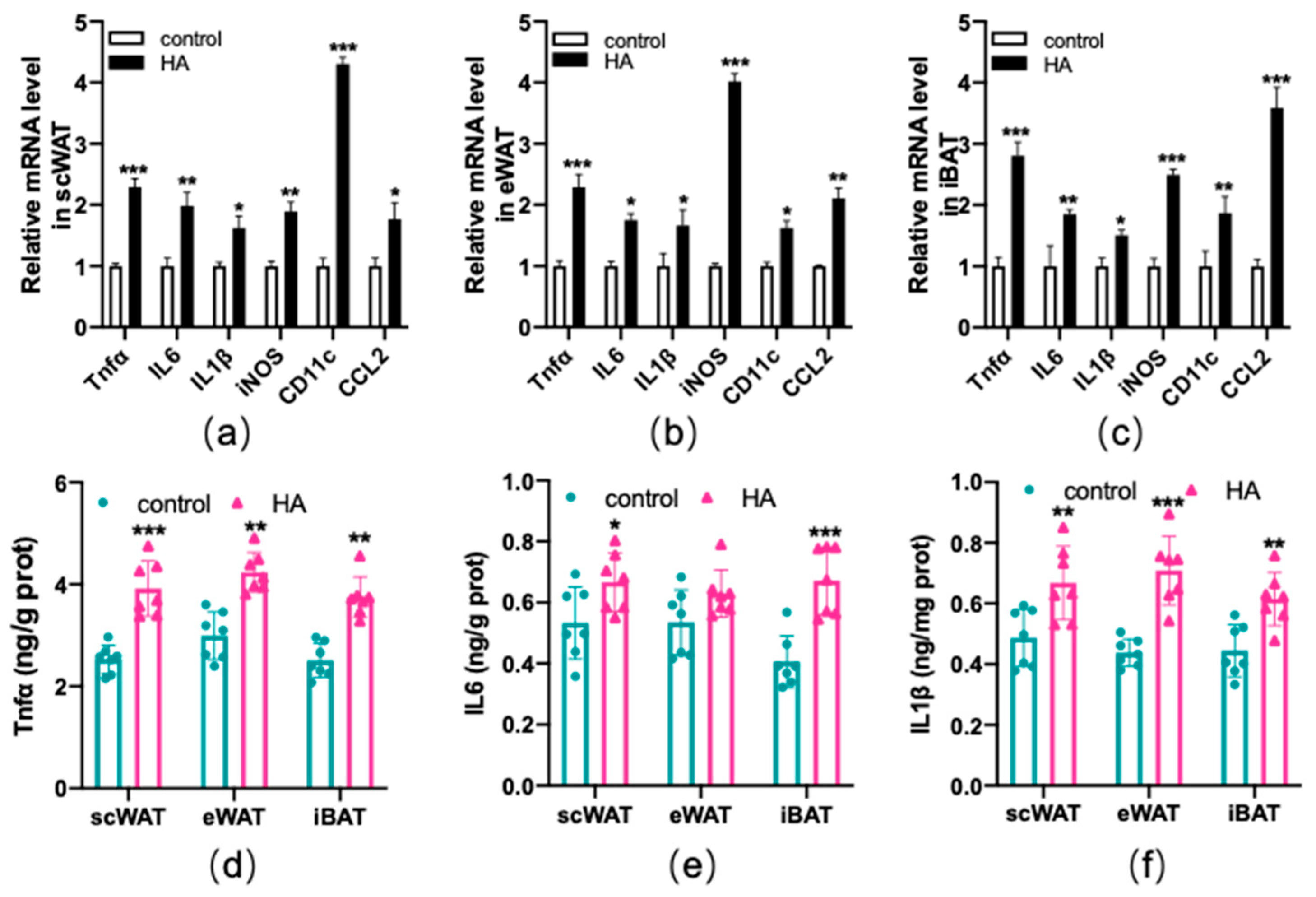 Antioxidants 11 02367 g005