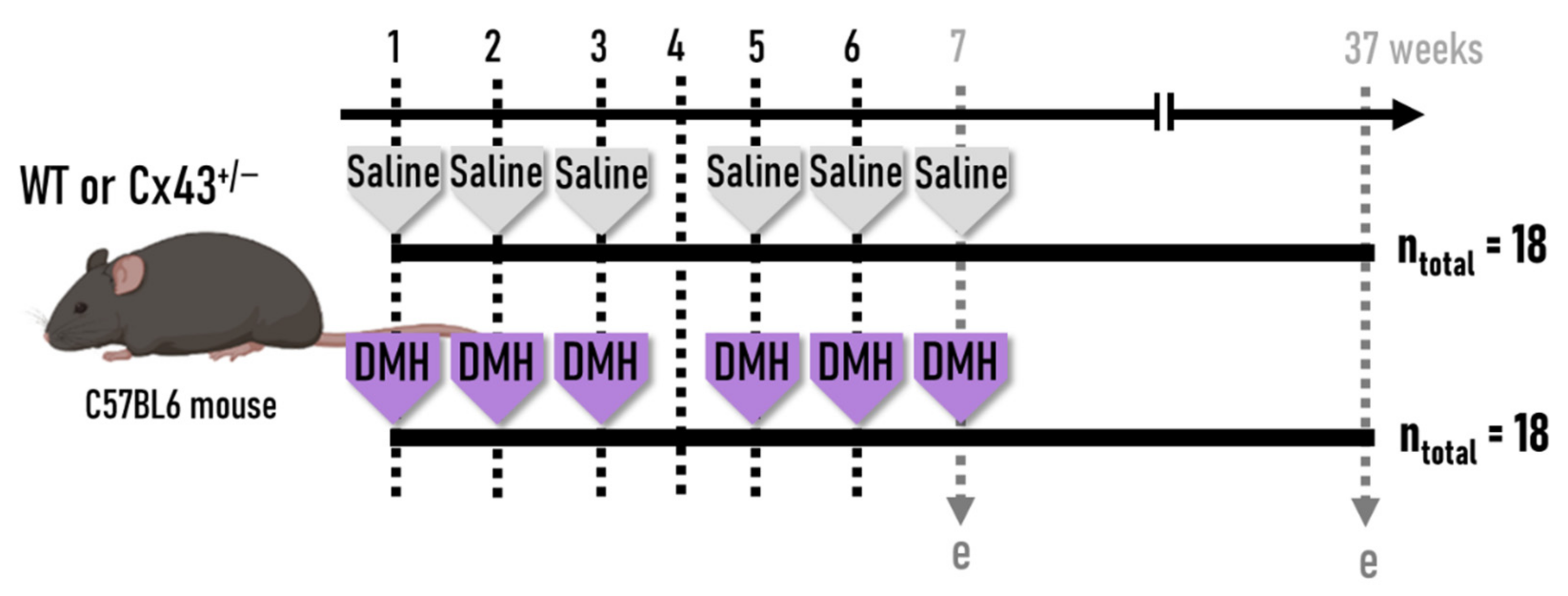 Antioxidants 11 02368 g001
