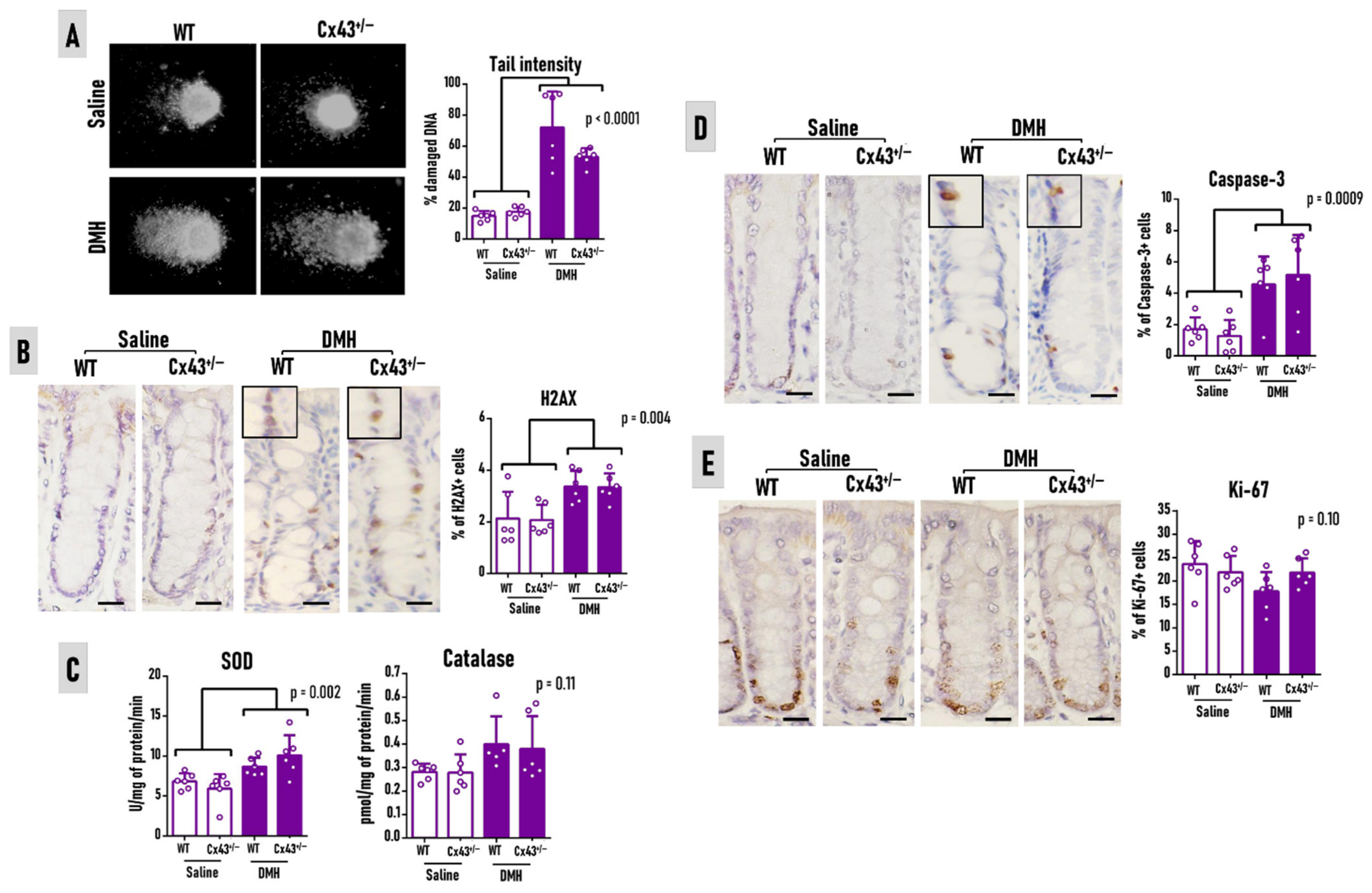 Antioxidants 11 02368 g003
