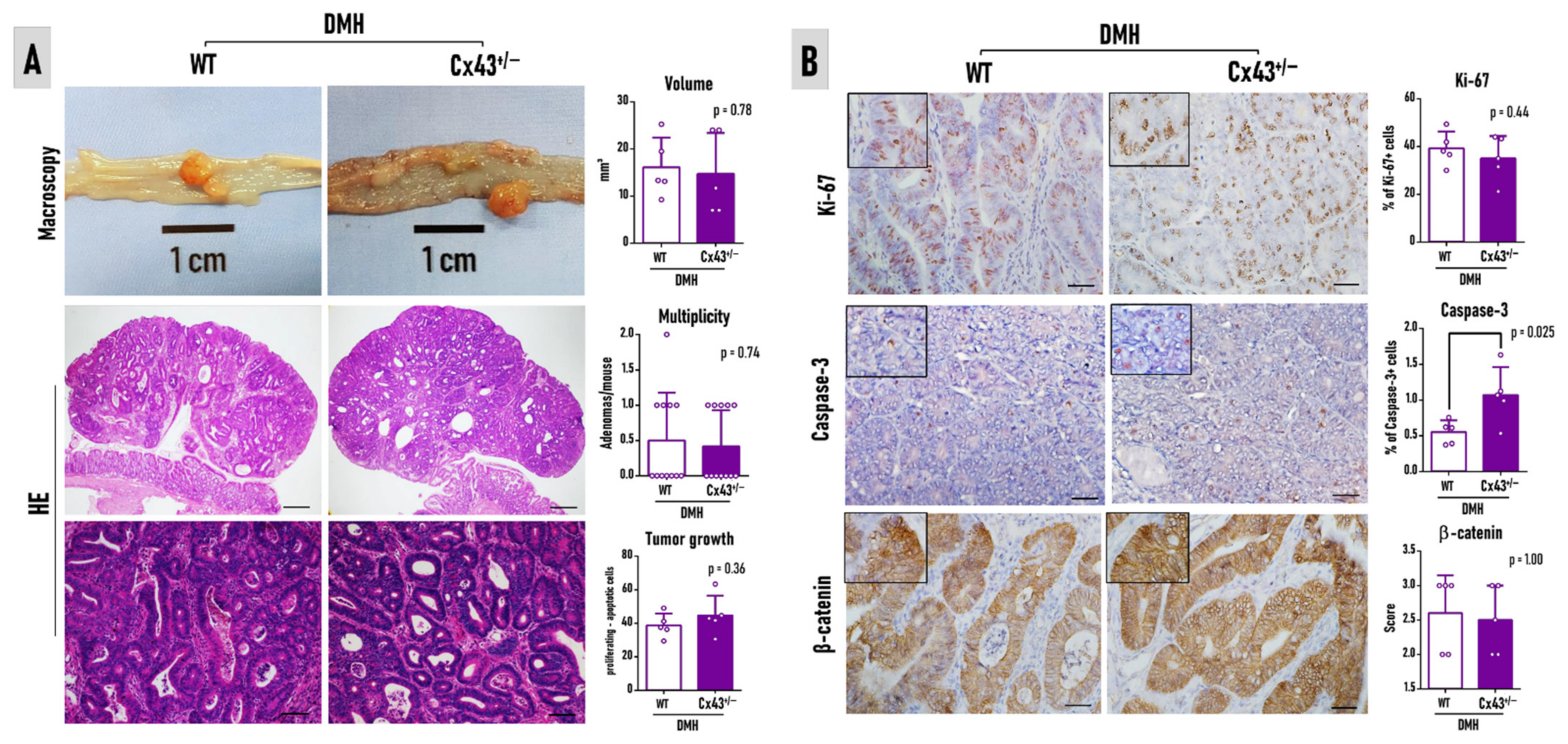 Antioxidants 11 02368 g005