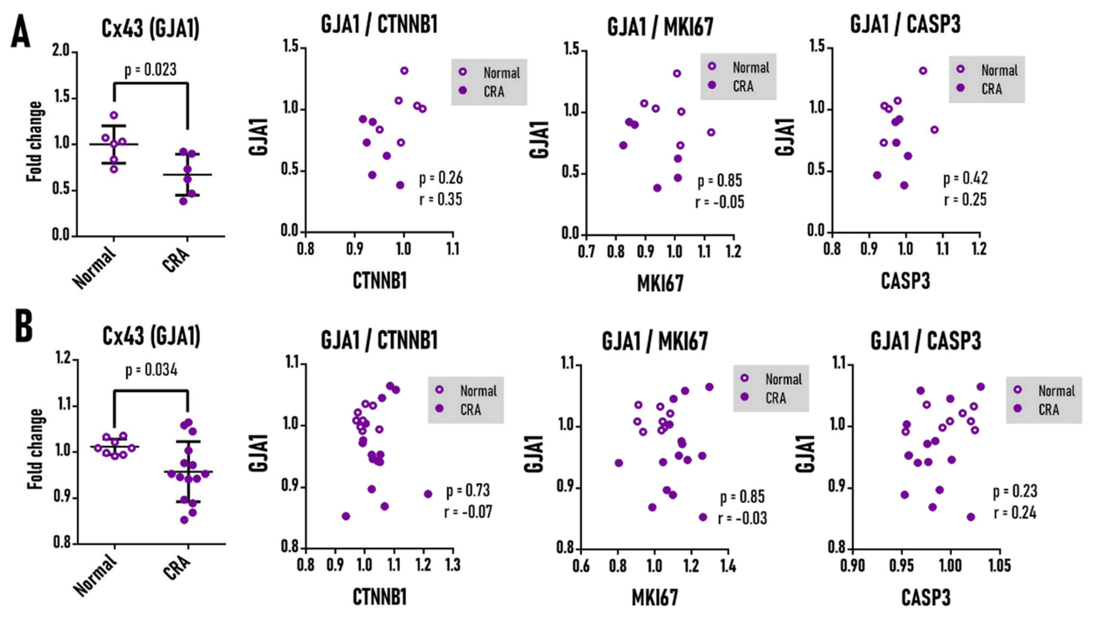Antioxidants 11 02368 g006