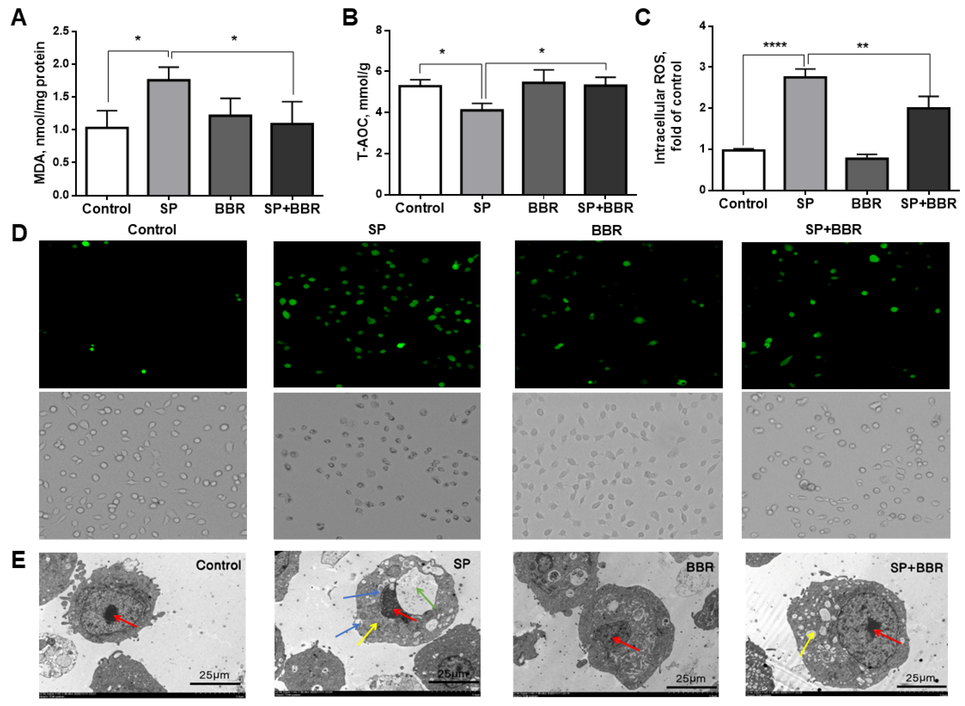 Antioxidants 11 02370 g001