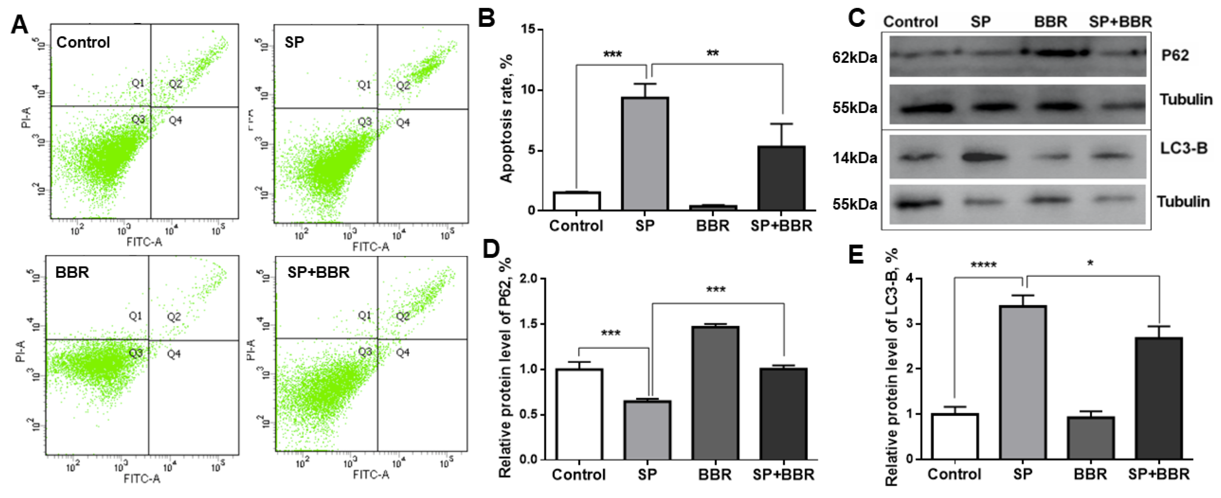 Antioxidants 11 02370 g002