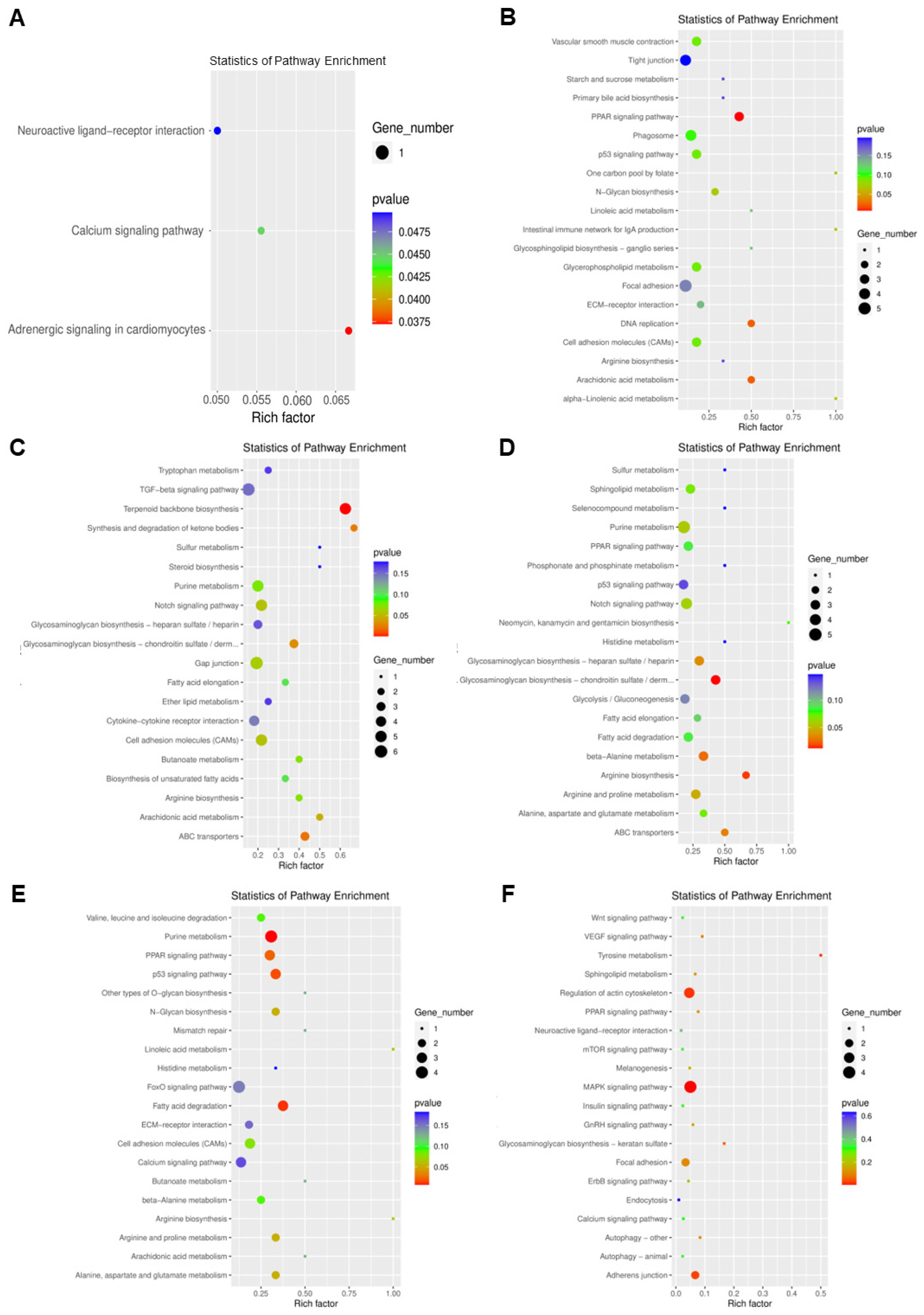 Antioxidants 11 02370 g006