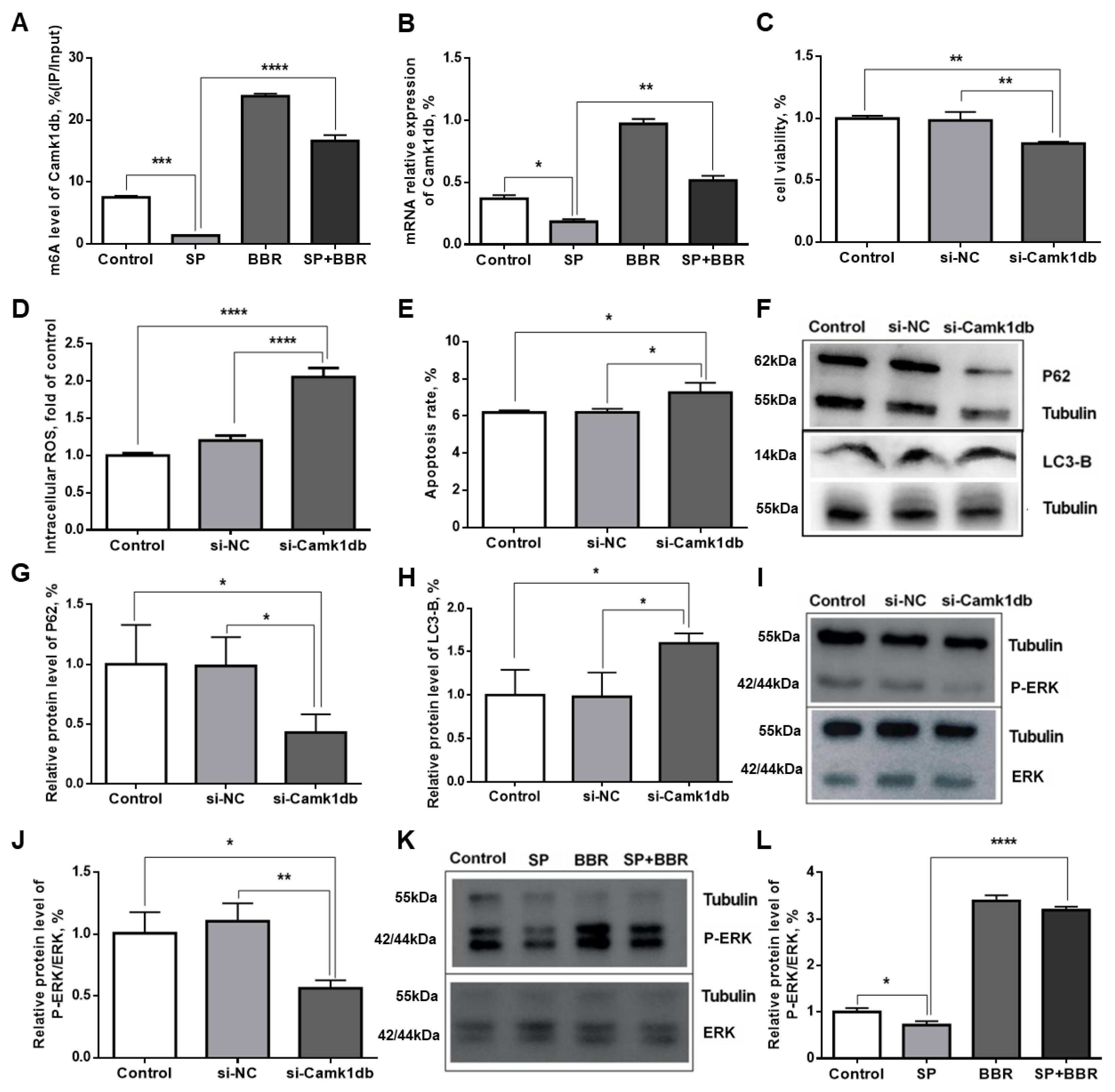 Antioxidants 11 02370 g007