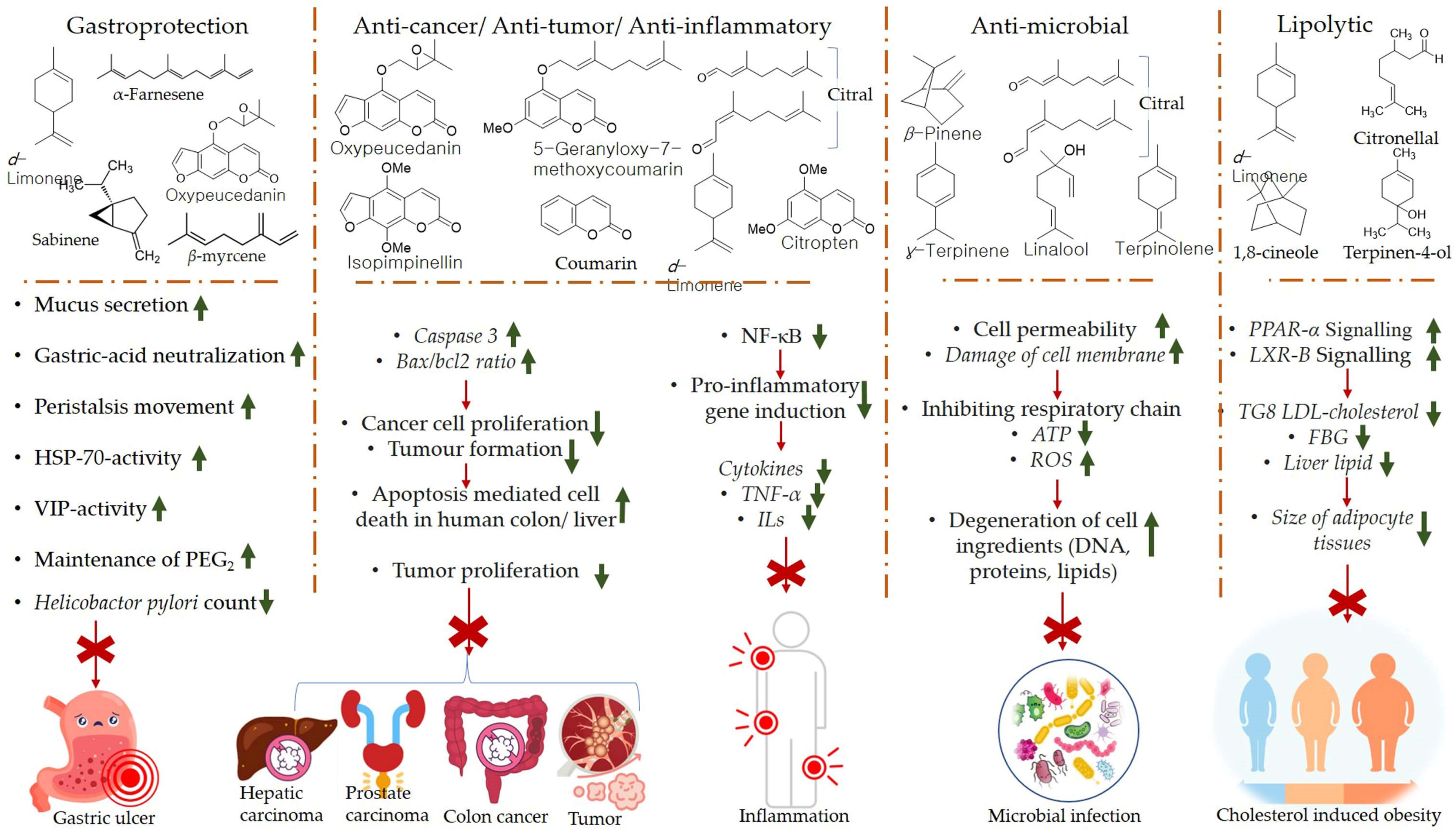 Antioxidants 11 02374 g005