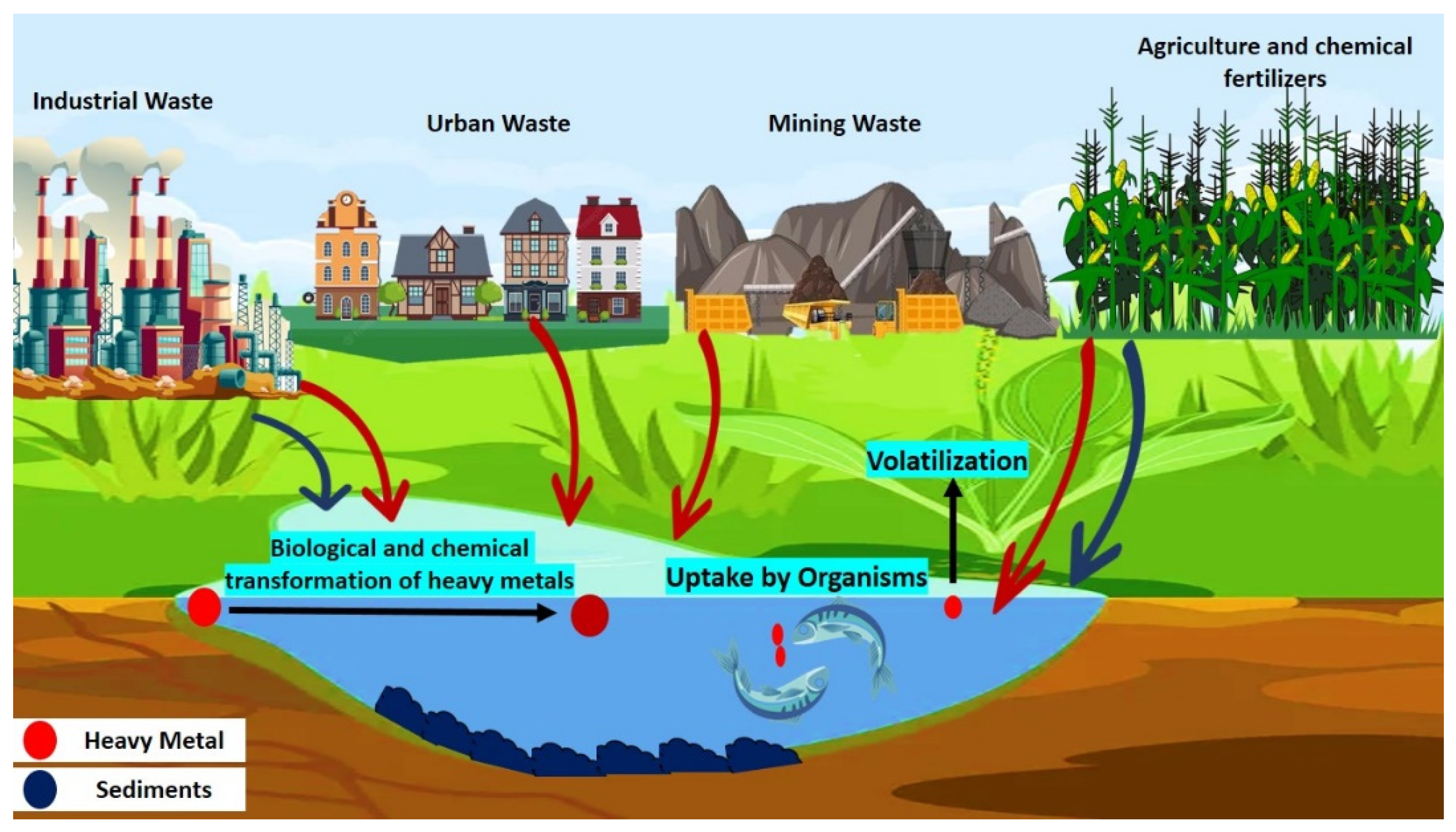 Antioxidants 11 02375 g001