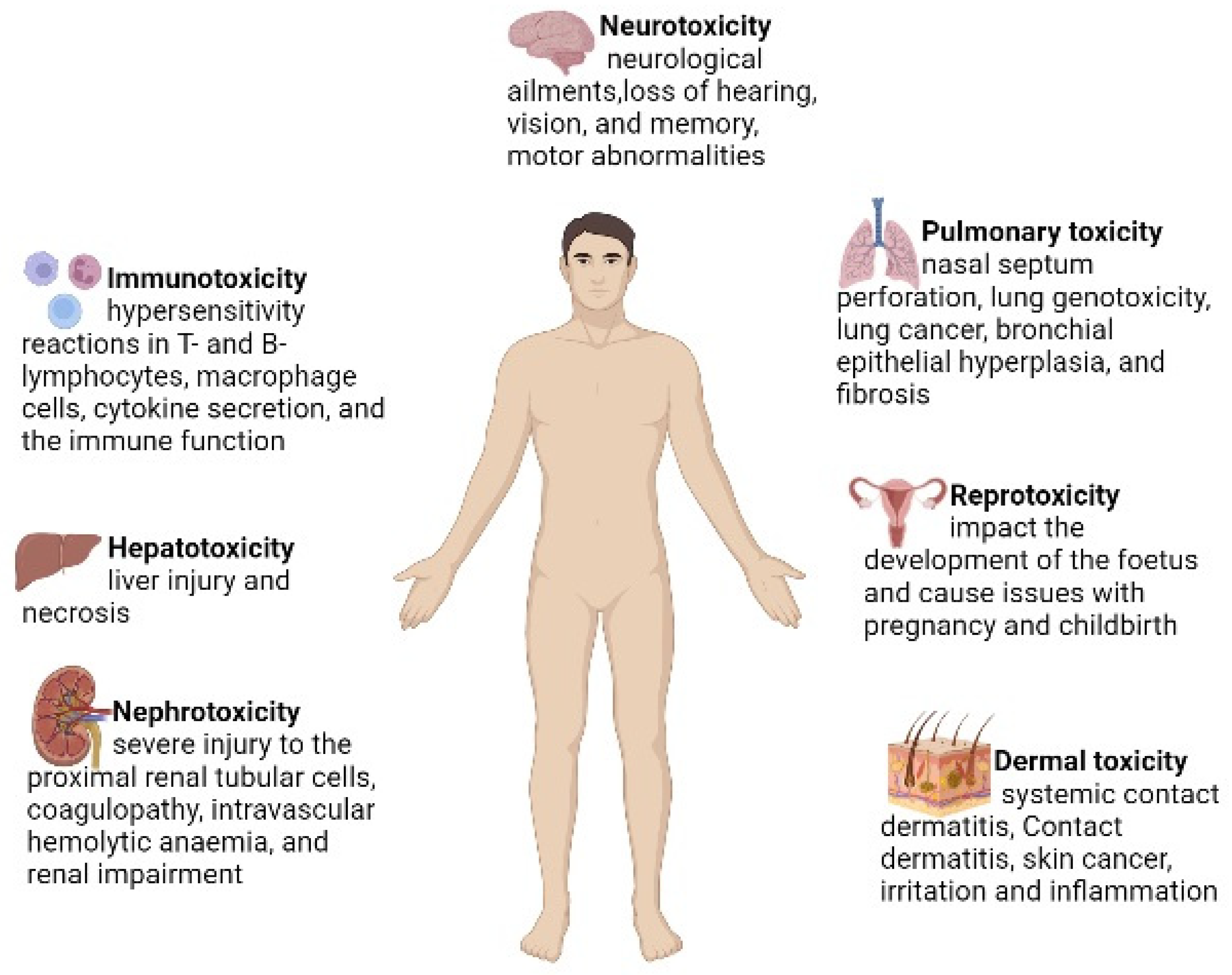 Antioxidants 11 02375 g002