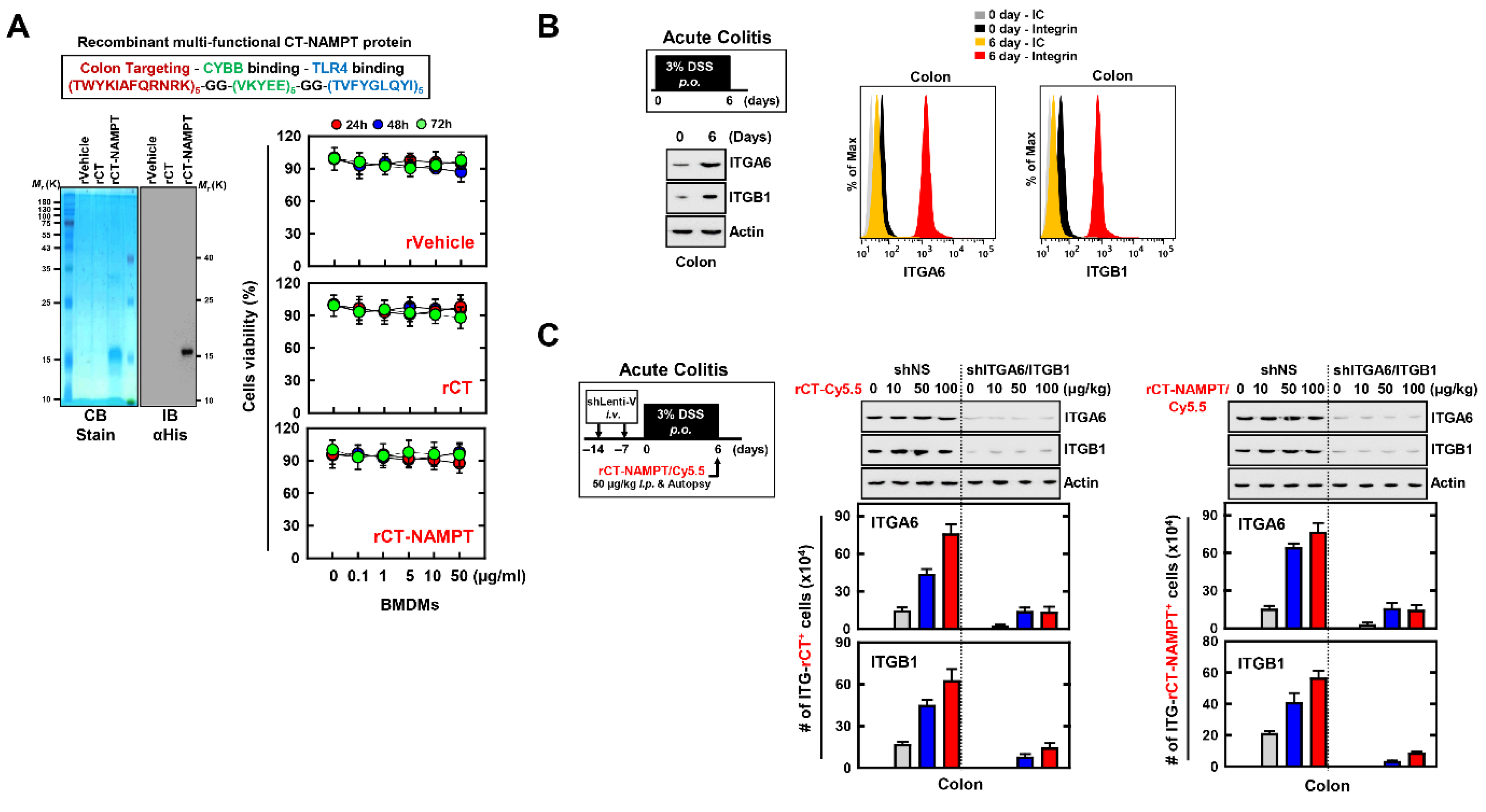 Antioxidants 11 02376 g005