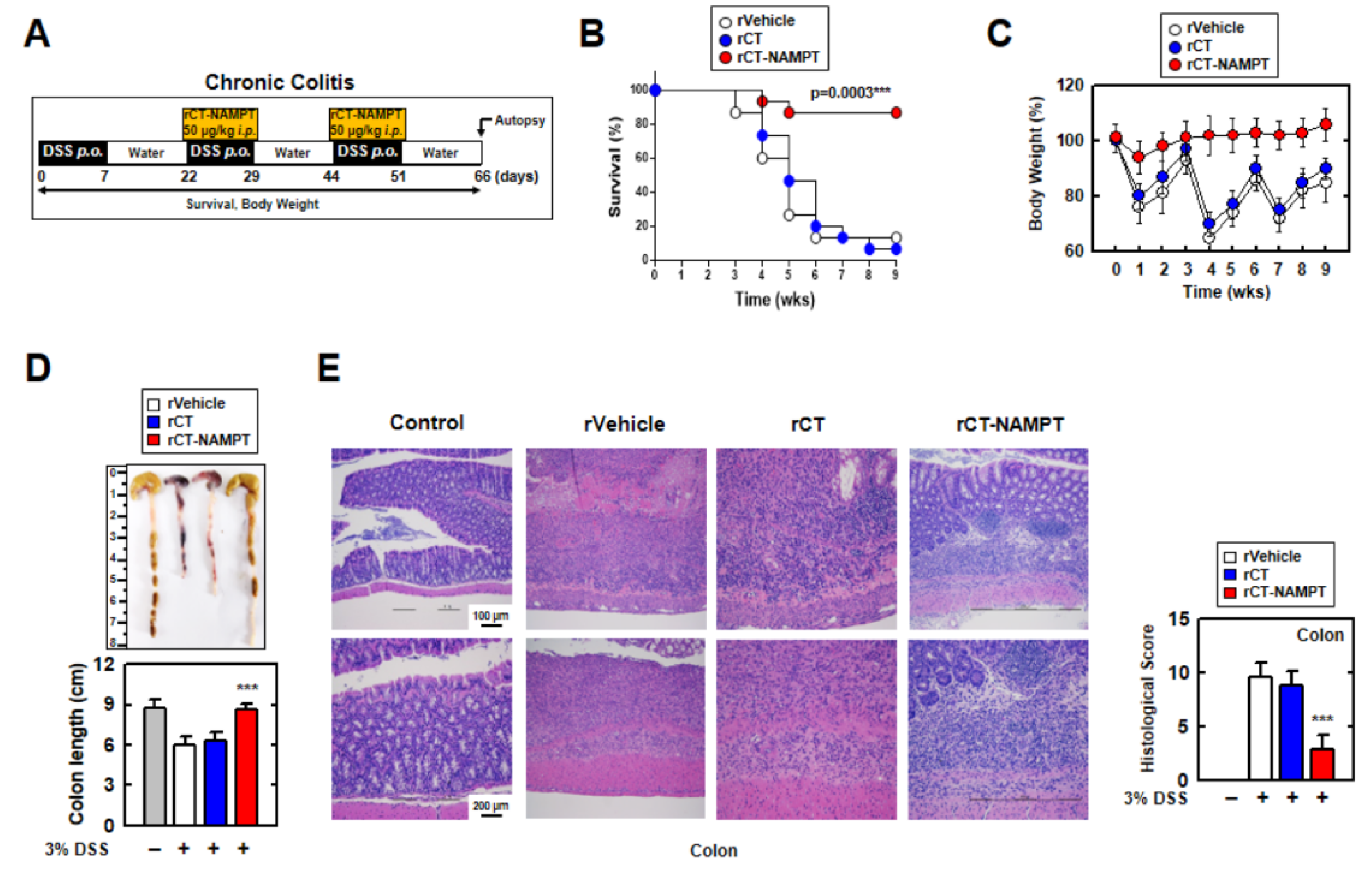 Antioxidants 11 02376 g007