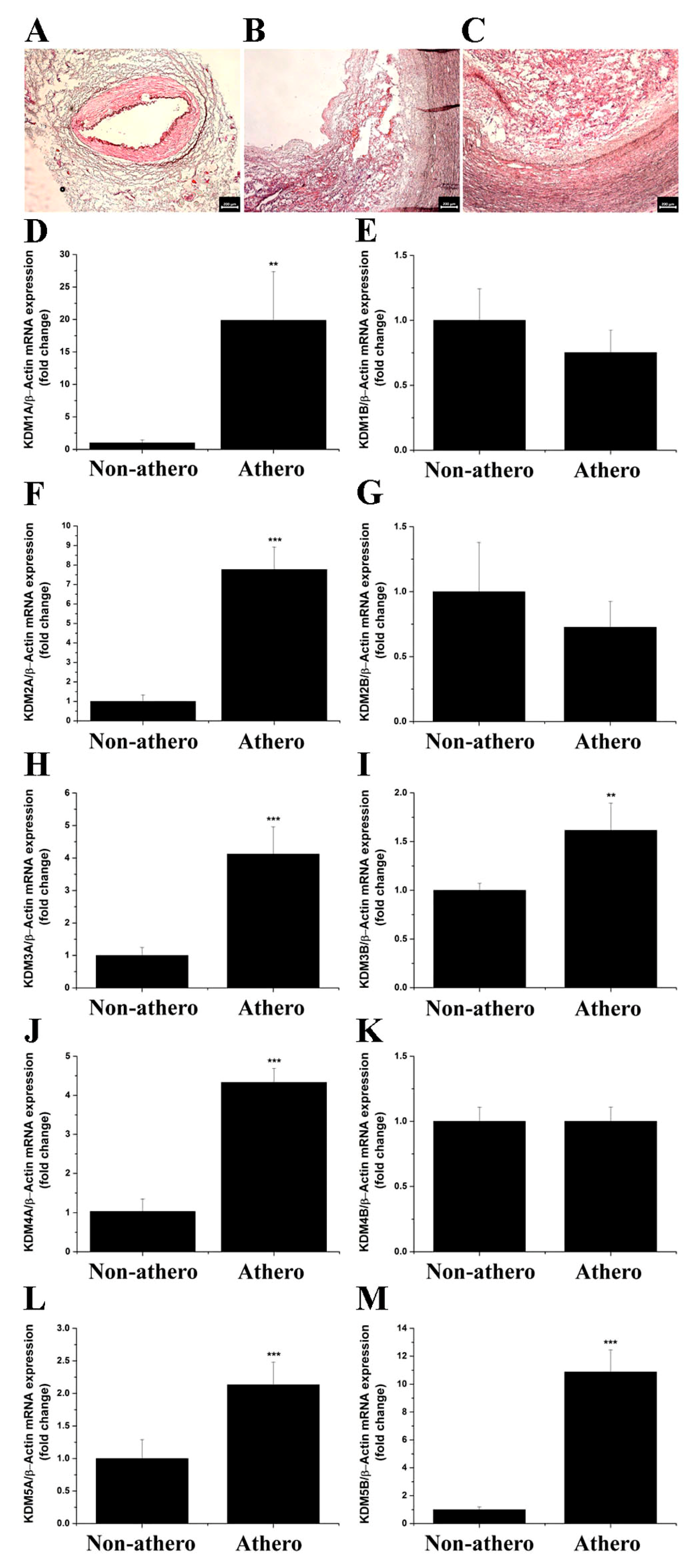 Antioxidants 11 02382 g001