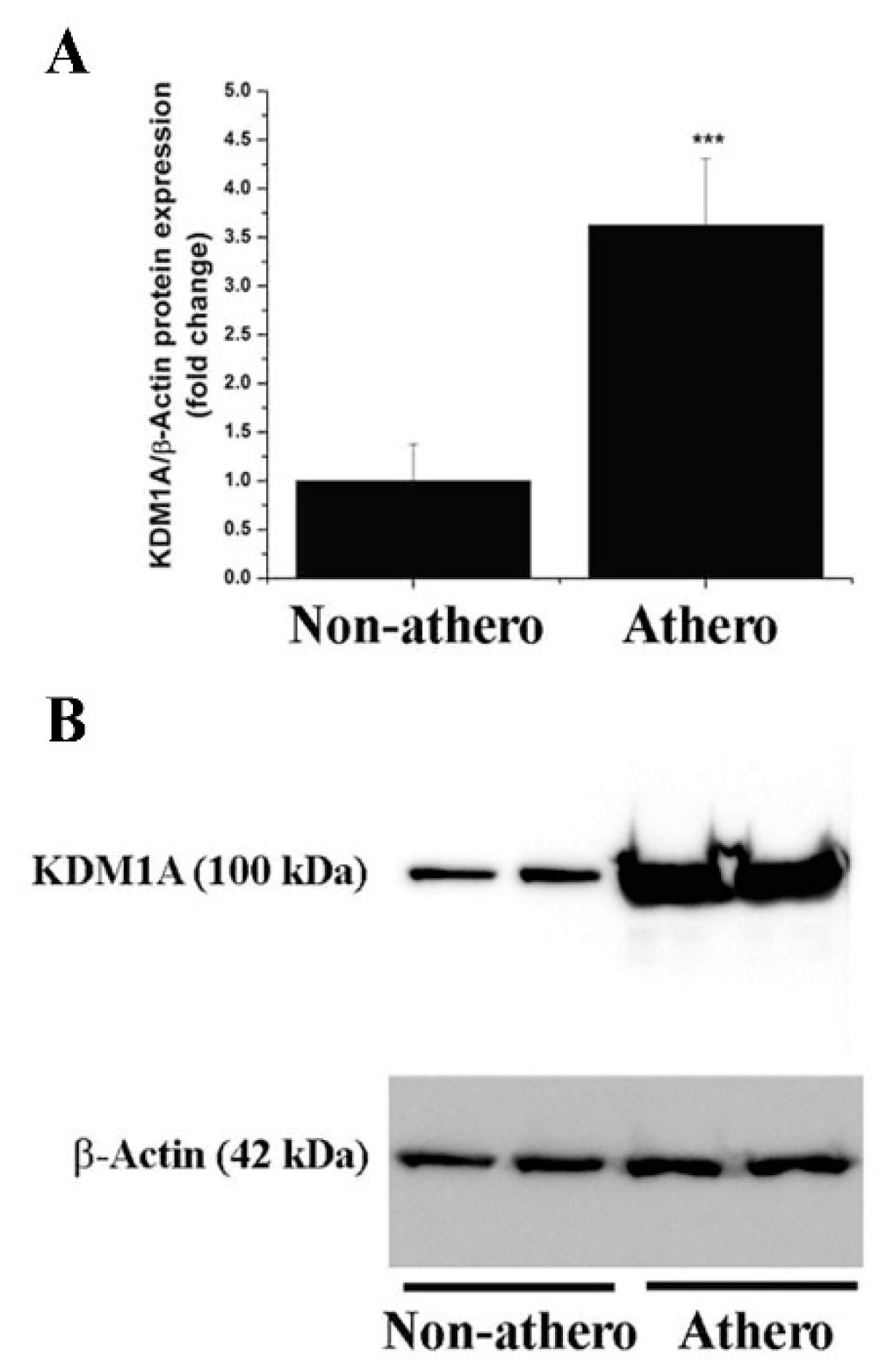 Antioxidants 11 02382 g002