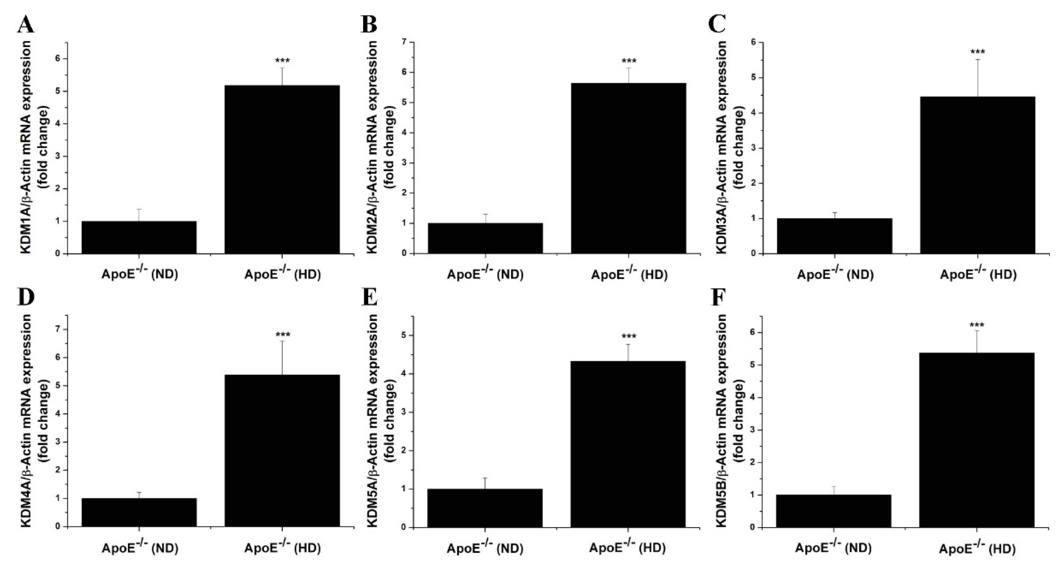 Antioxidants 11 02382 g003