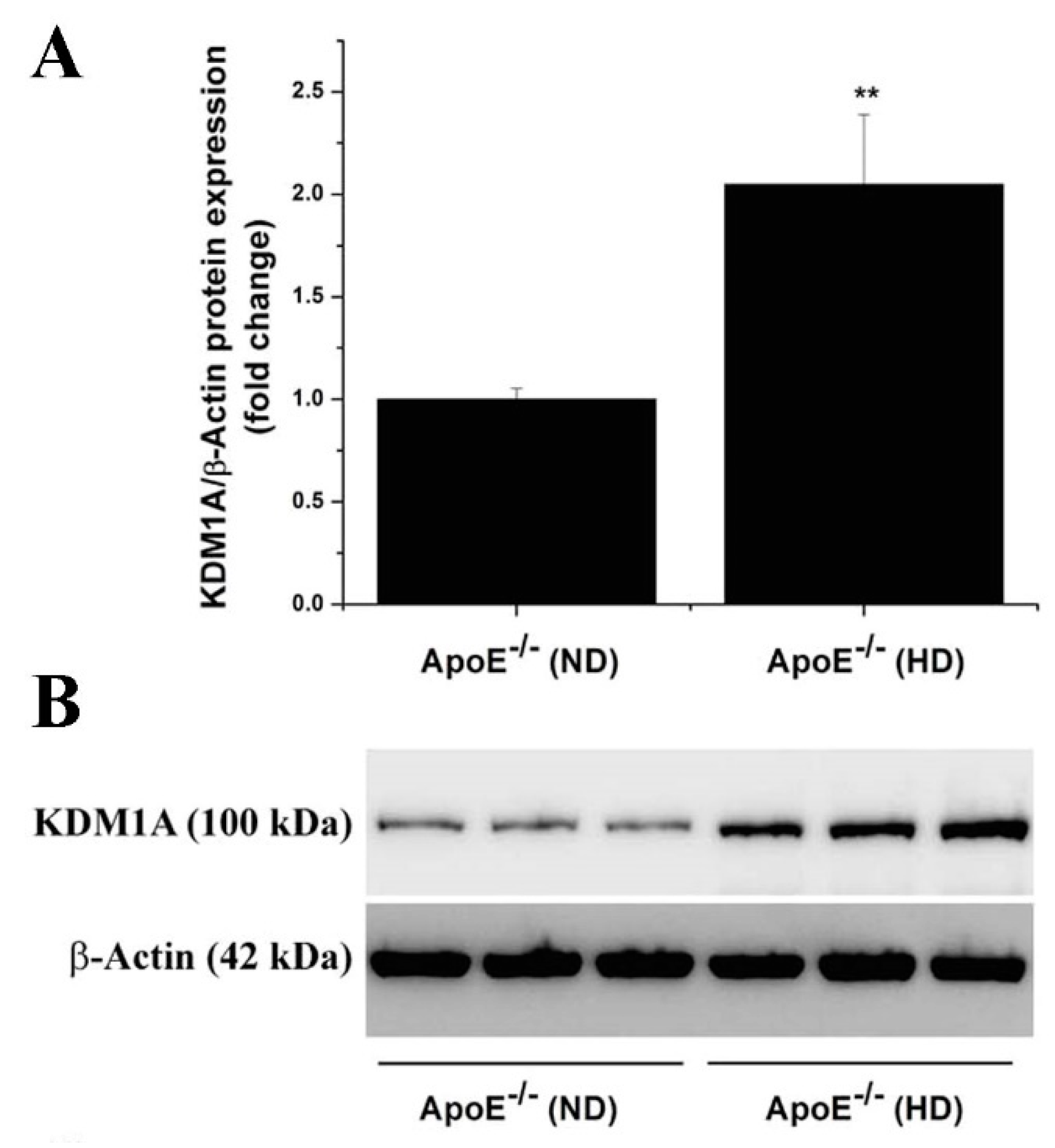 Antioxidants 11 02382 g004