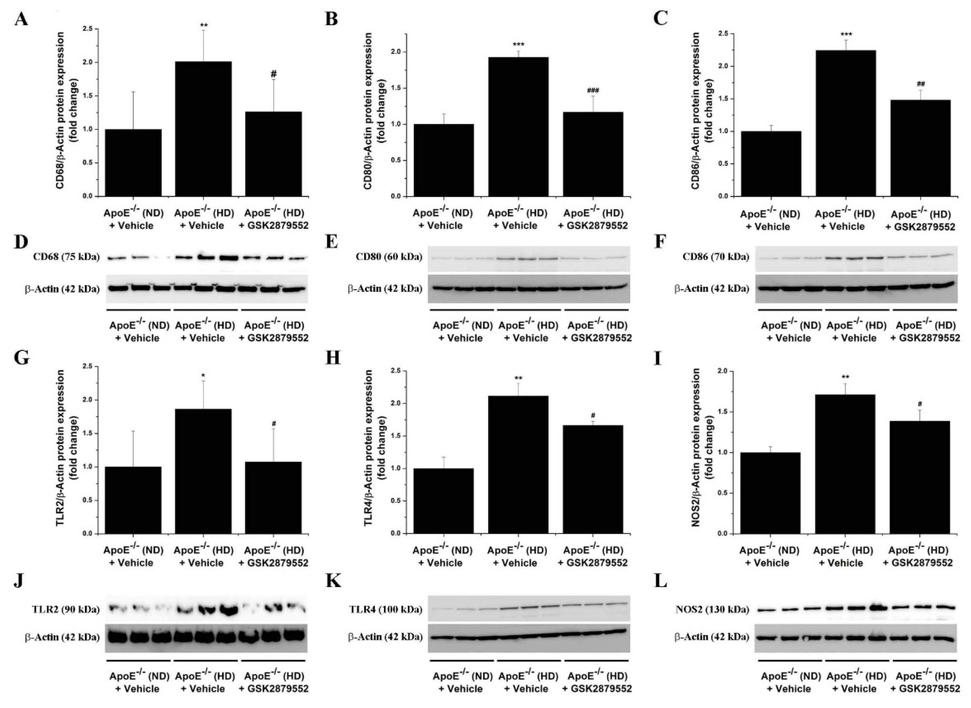 Antioxidants 11 02382 g008