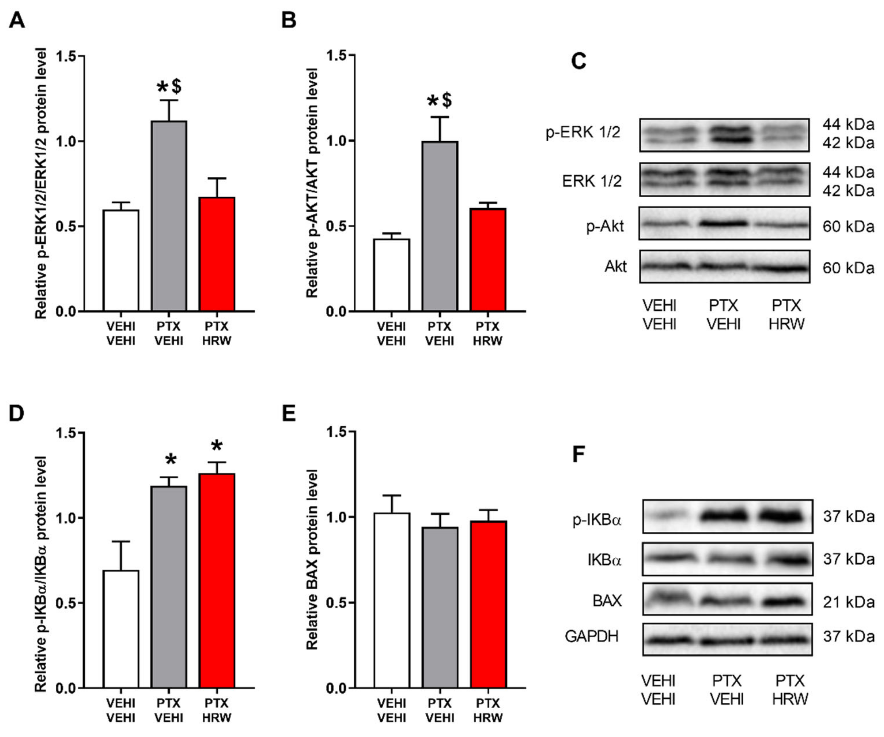 Antioxidants 11 02387 g006