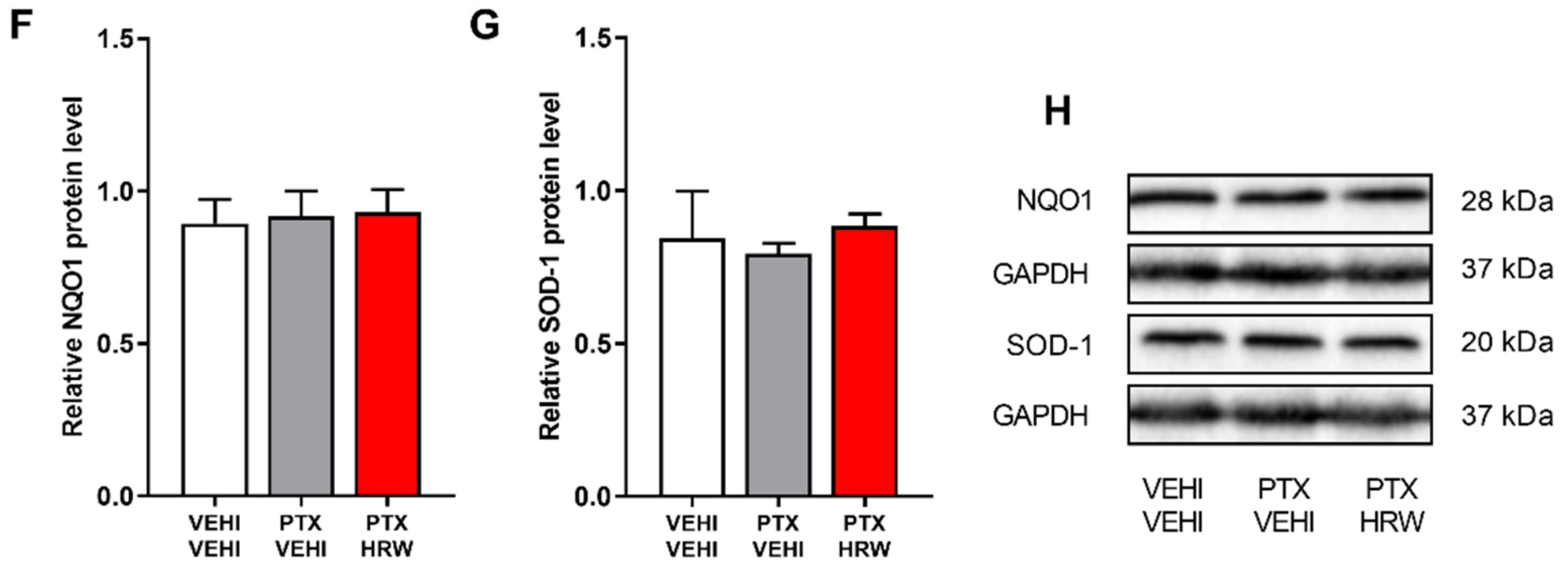 Antioxidants 11 02387 g007b
