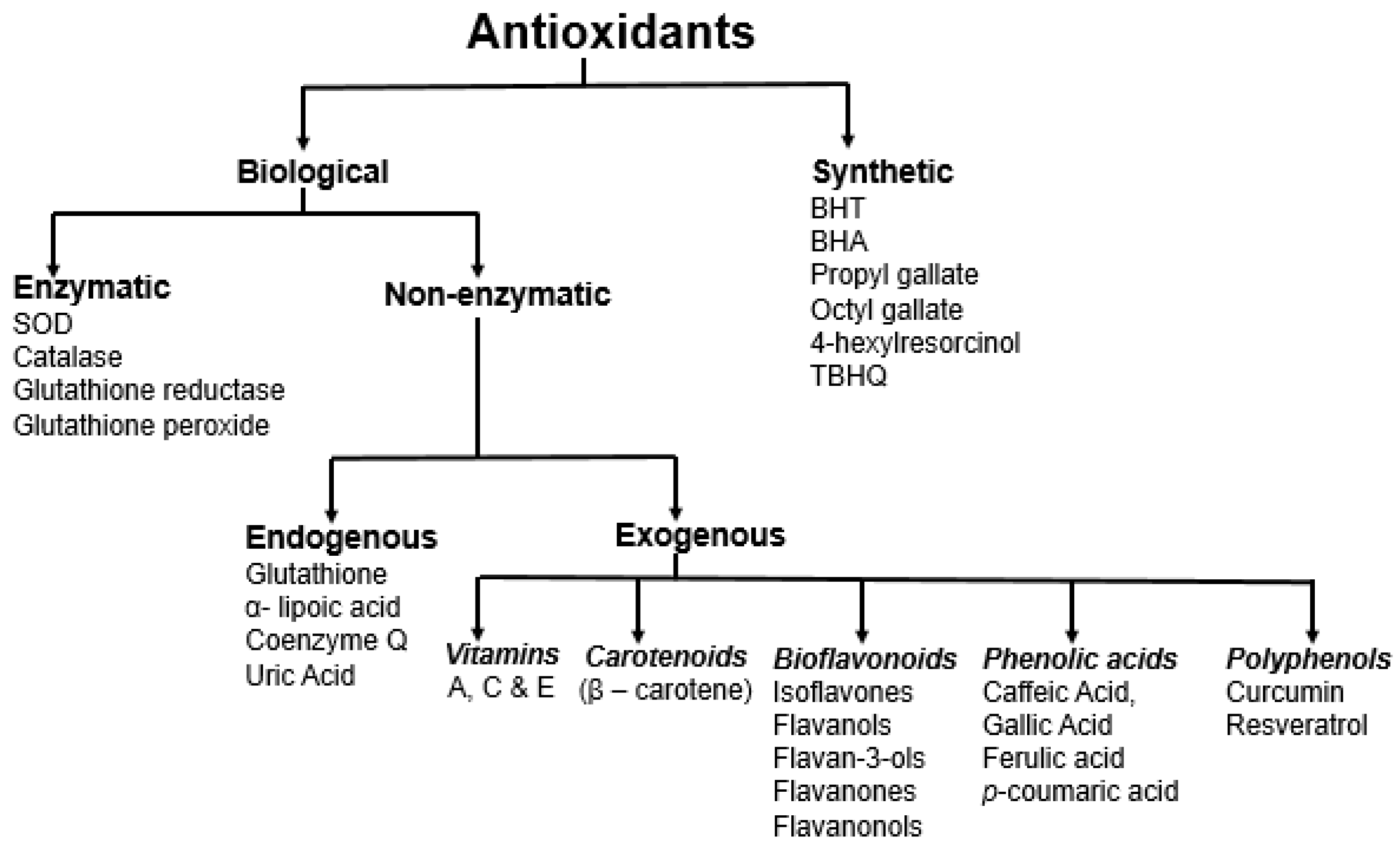 Antioxidants 11 02388 g002