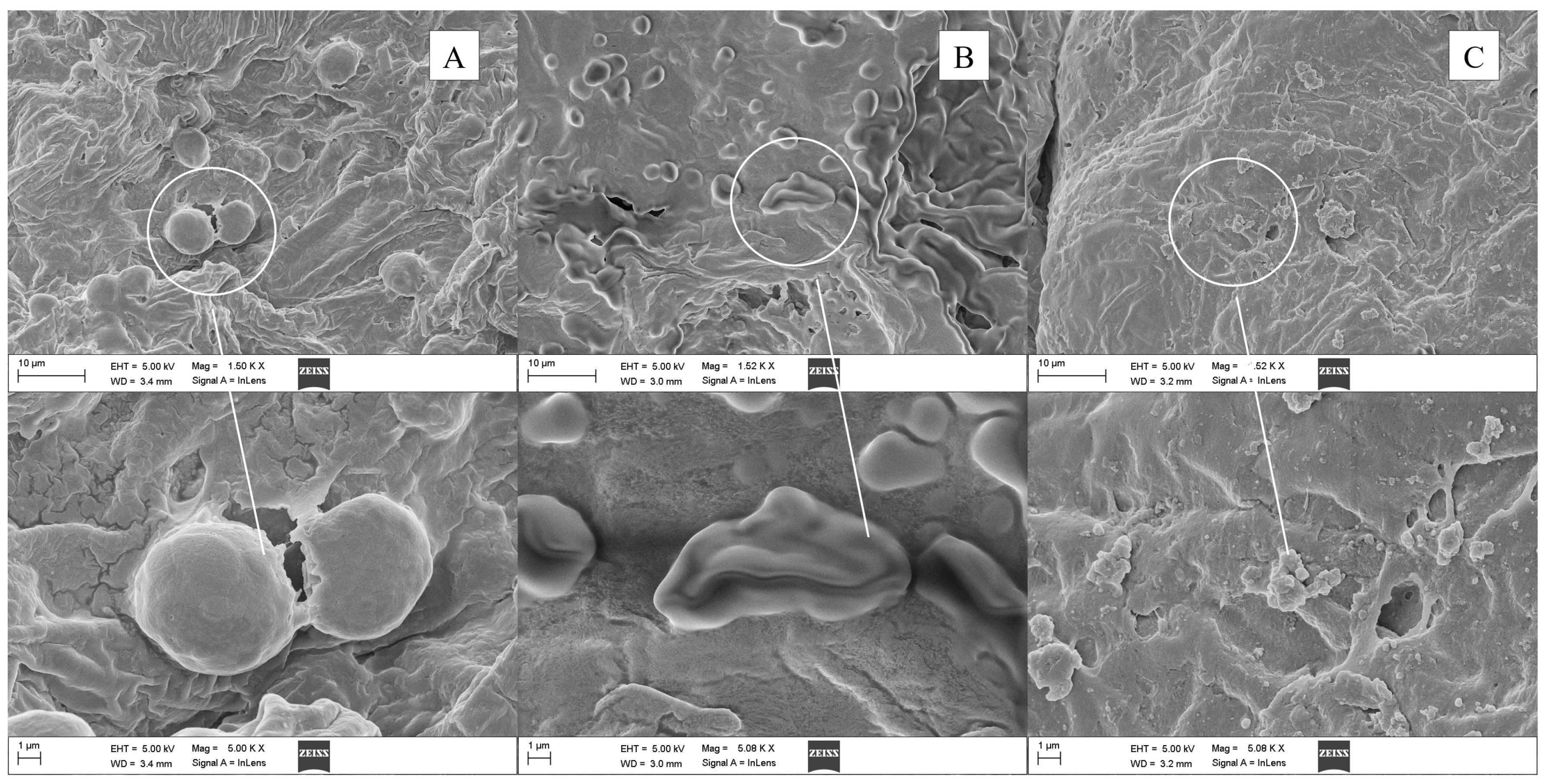 Antioxidants 11 02389 g005