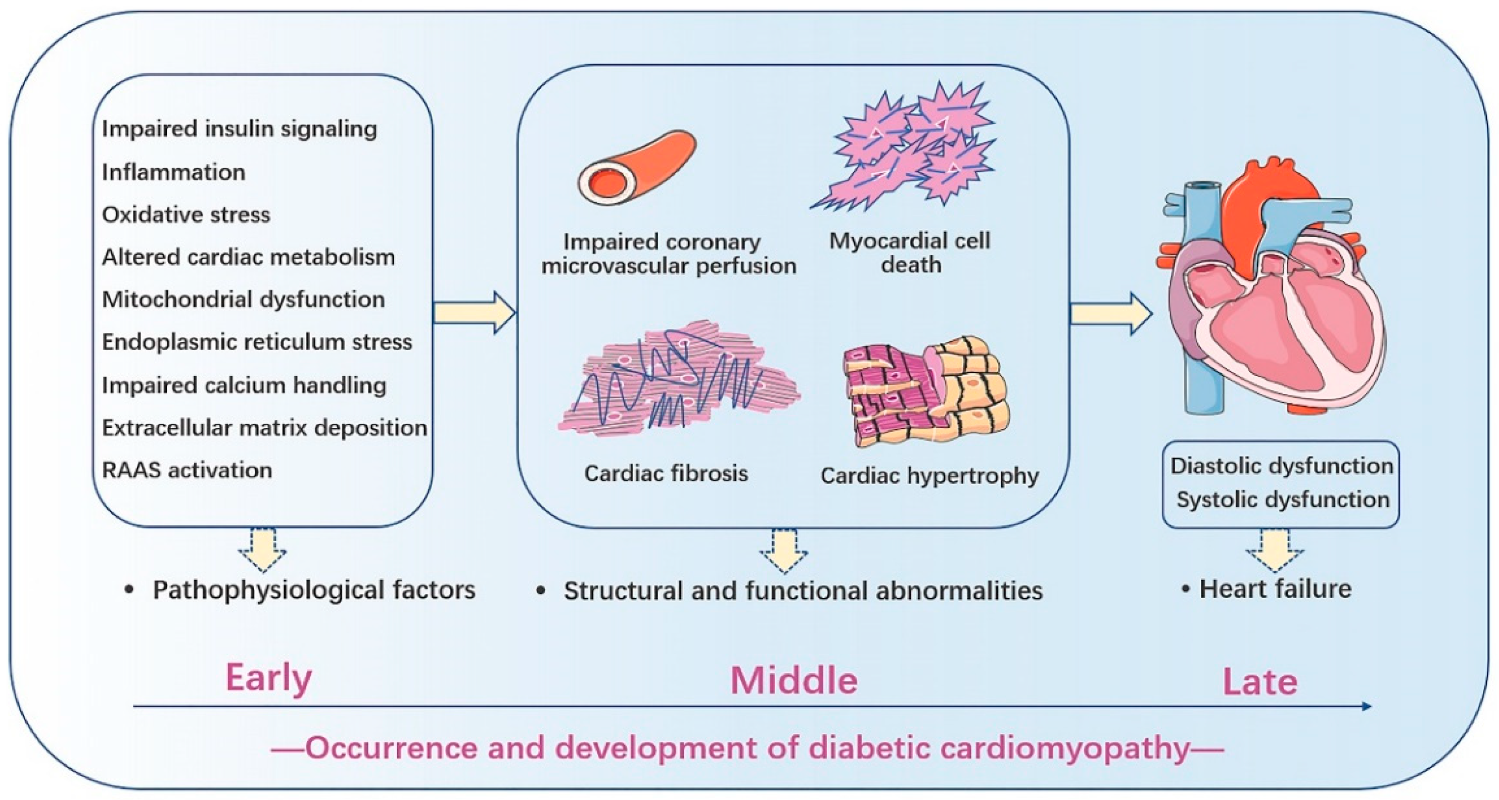 Antioxidants 11 02391 g001 Antioxidants 11 02391 g001