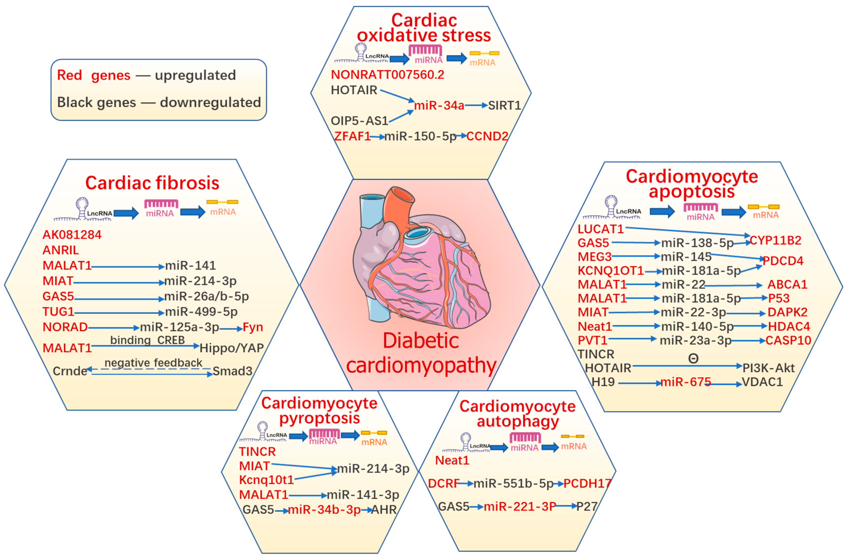 Antioxidants 11 02391 g003 Antioxidants 11 02391 g003