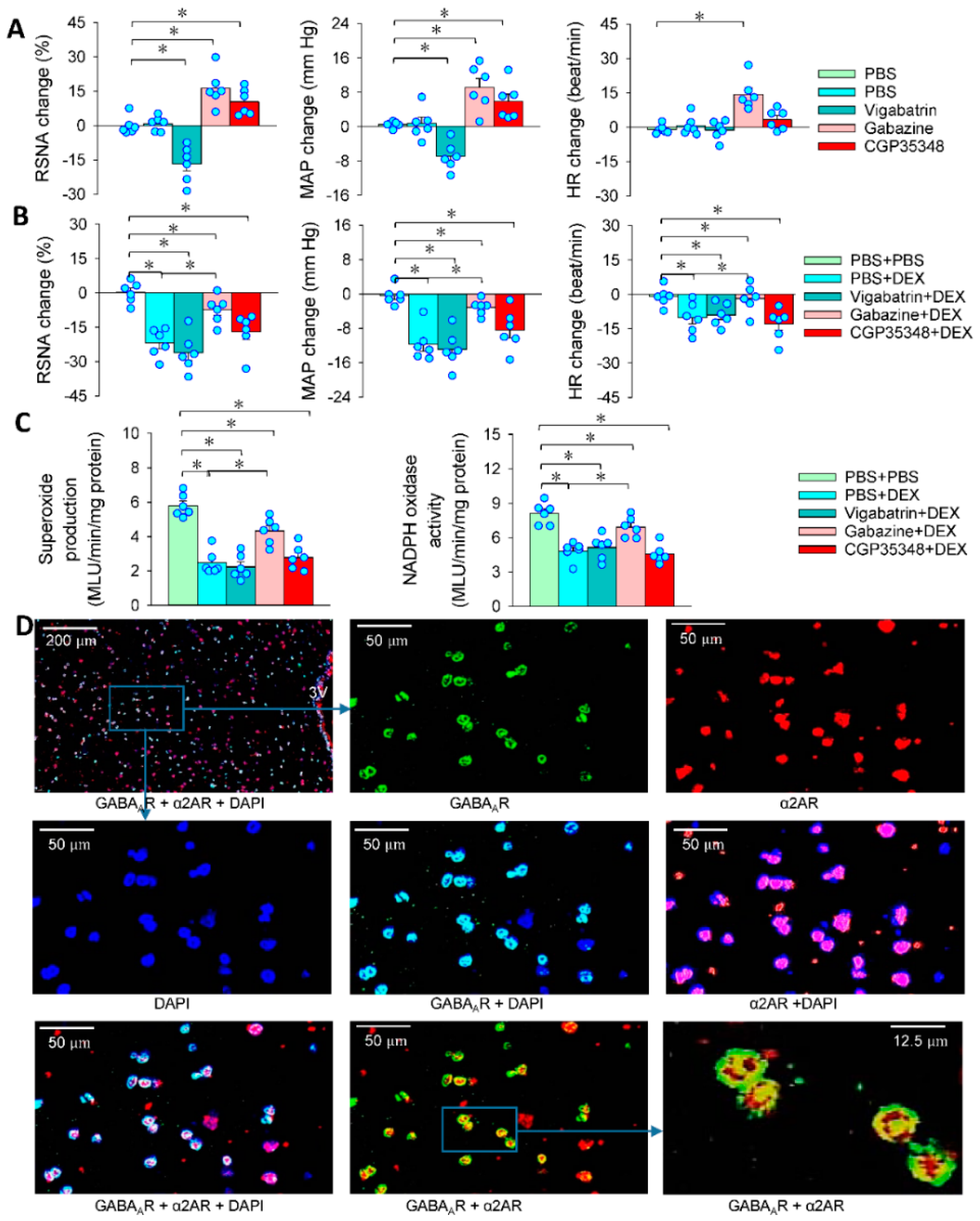 Antioxidants 11 02395 g006