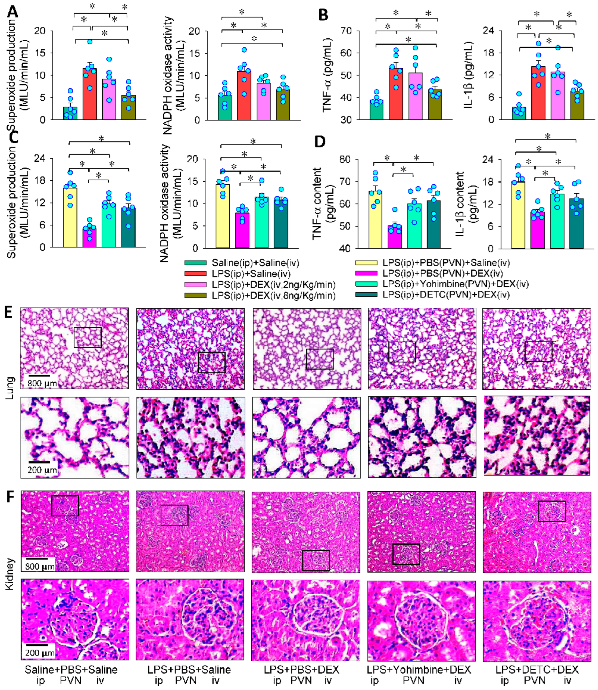 Antioxidants 11 02395 g008