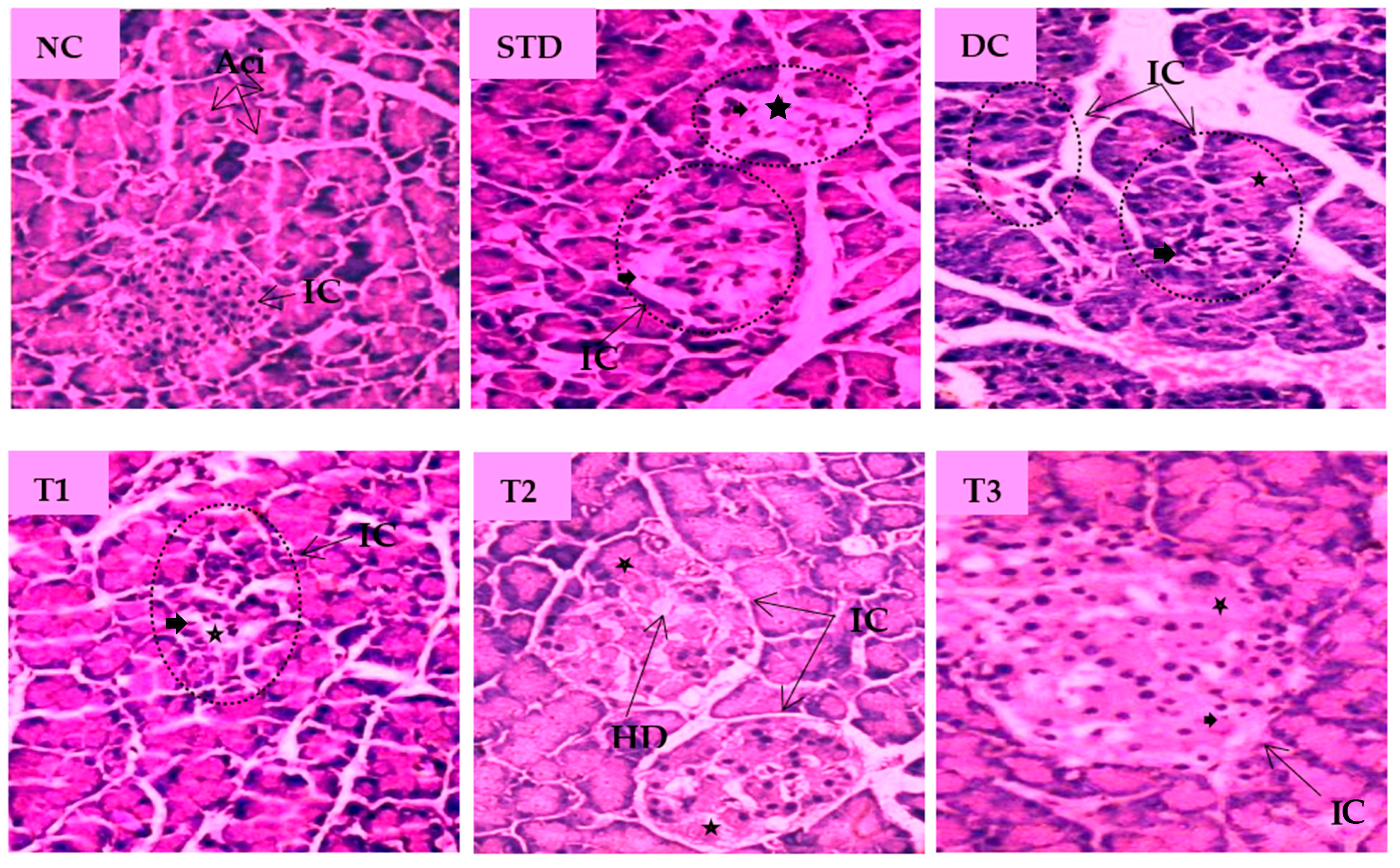 Antioxidants 11 02398 g005