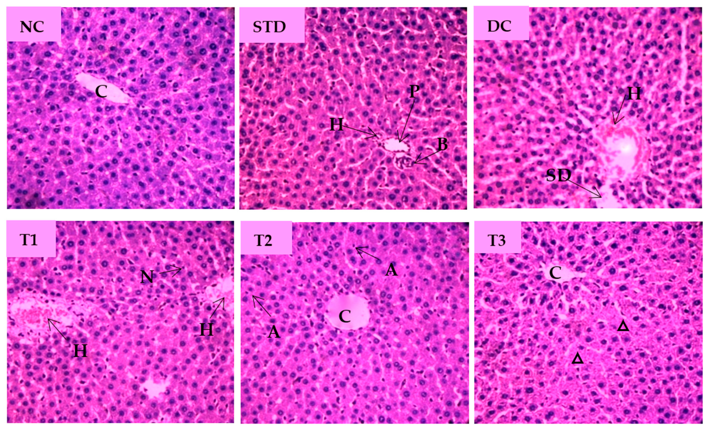 Antioxidants 11 02398 g007