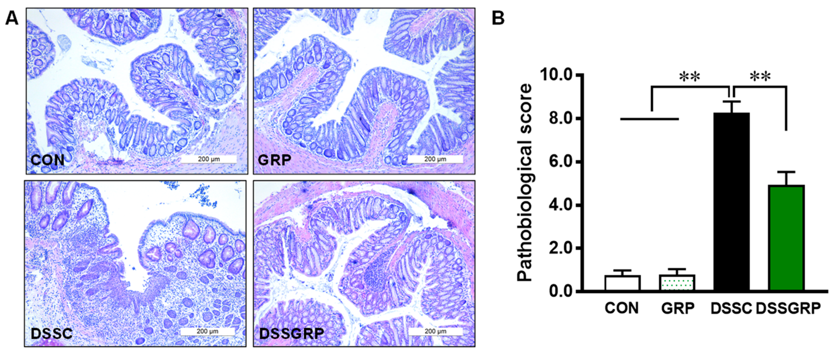 Antioxidants 11 02404 g002