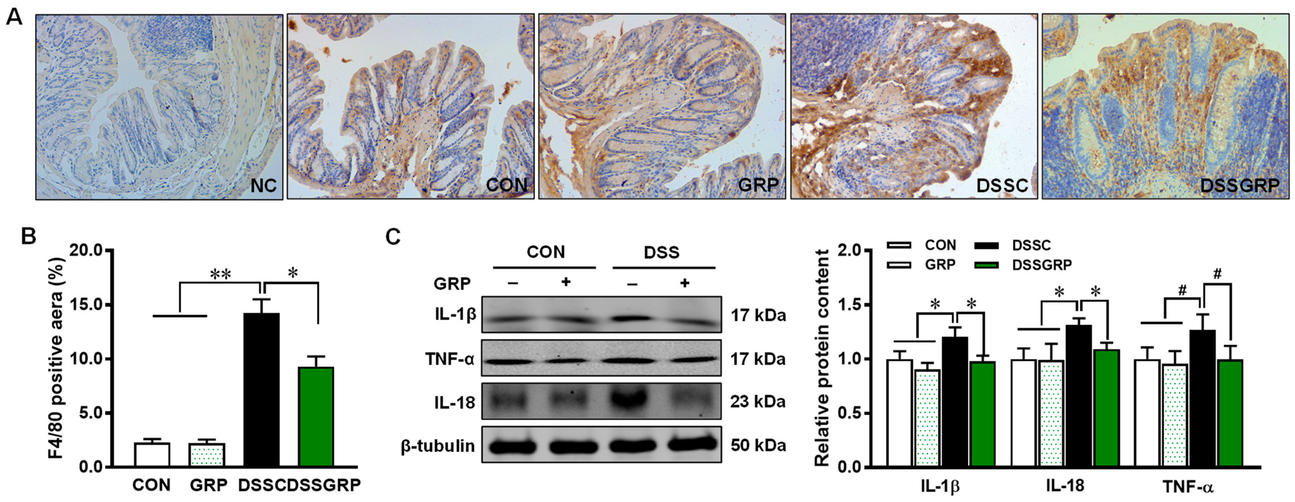 Antioxidants 11 02404 g003