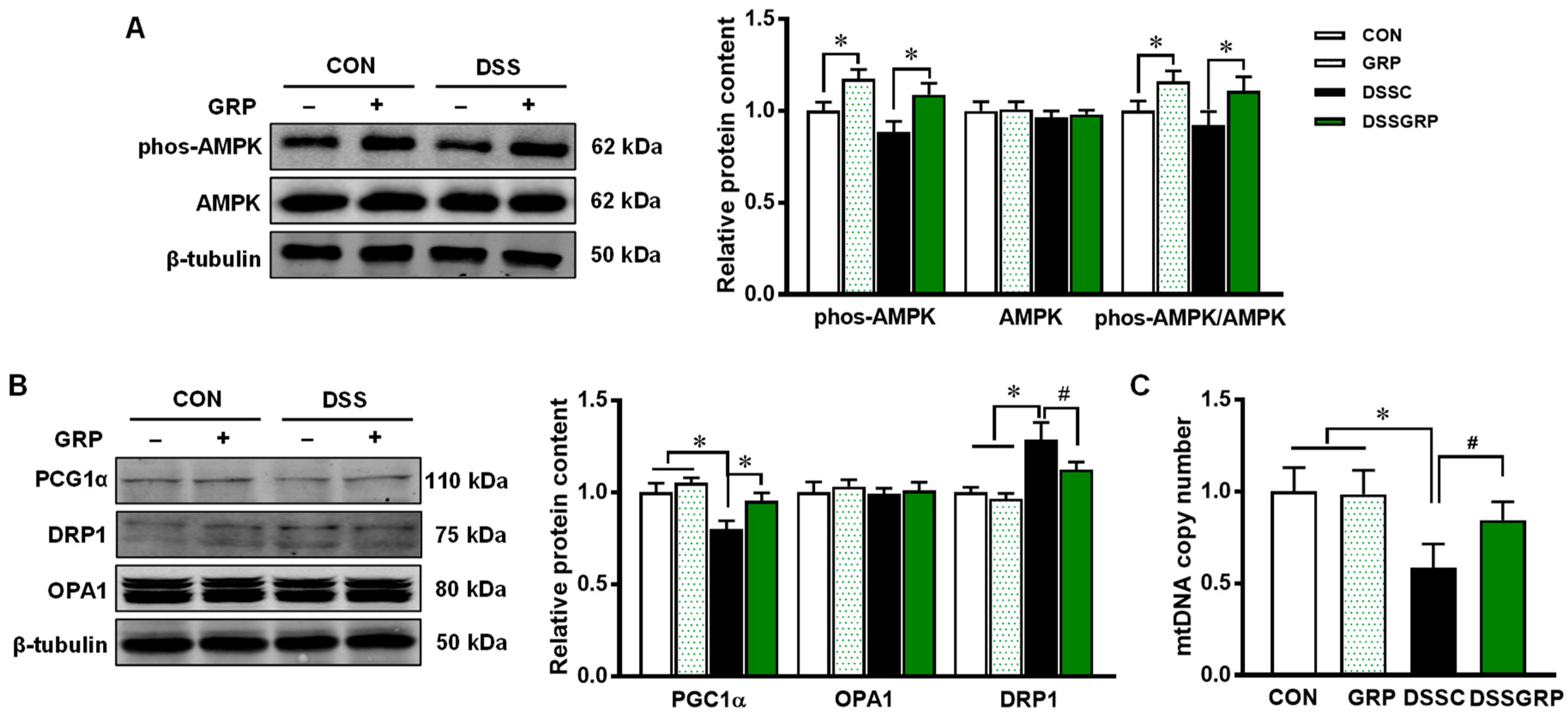 Antioxidants 11 02404 g004