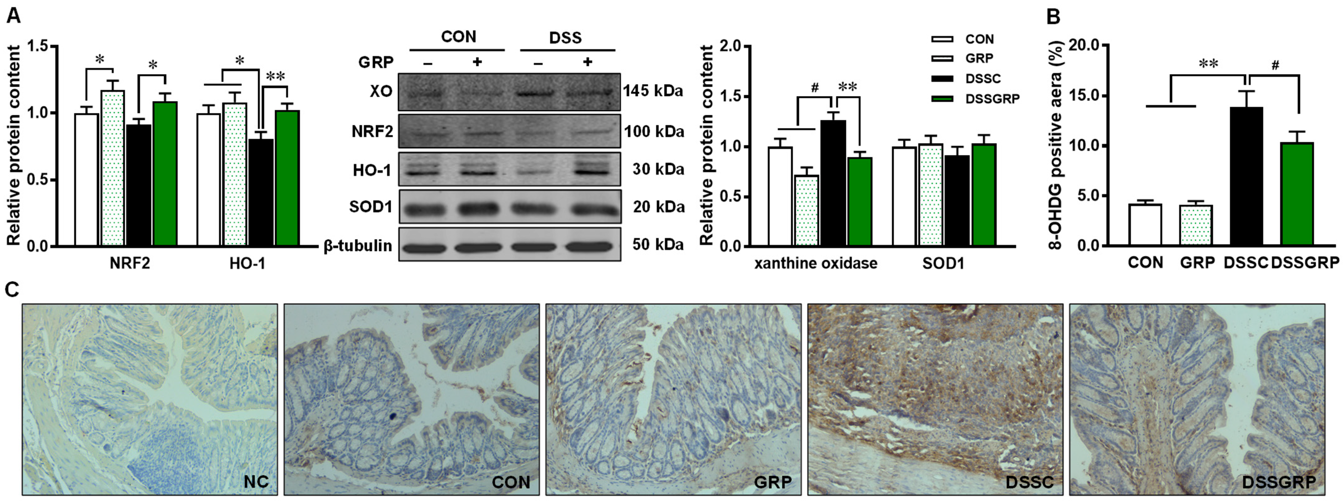 Antioxidants 11 02404 g005