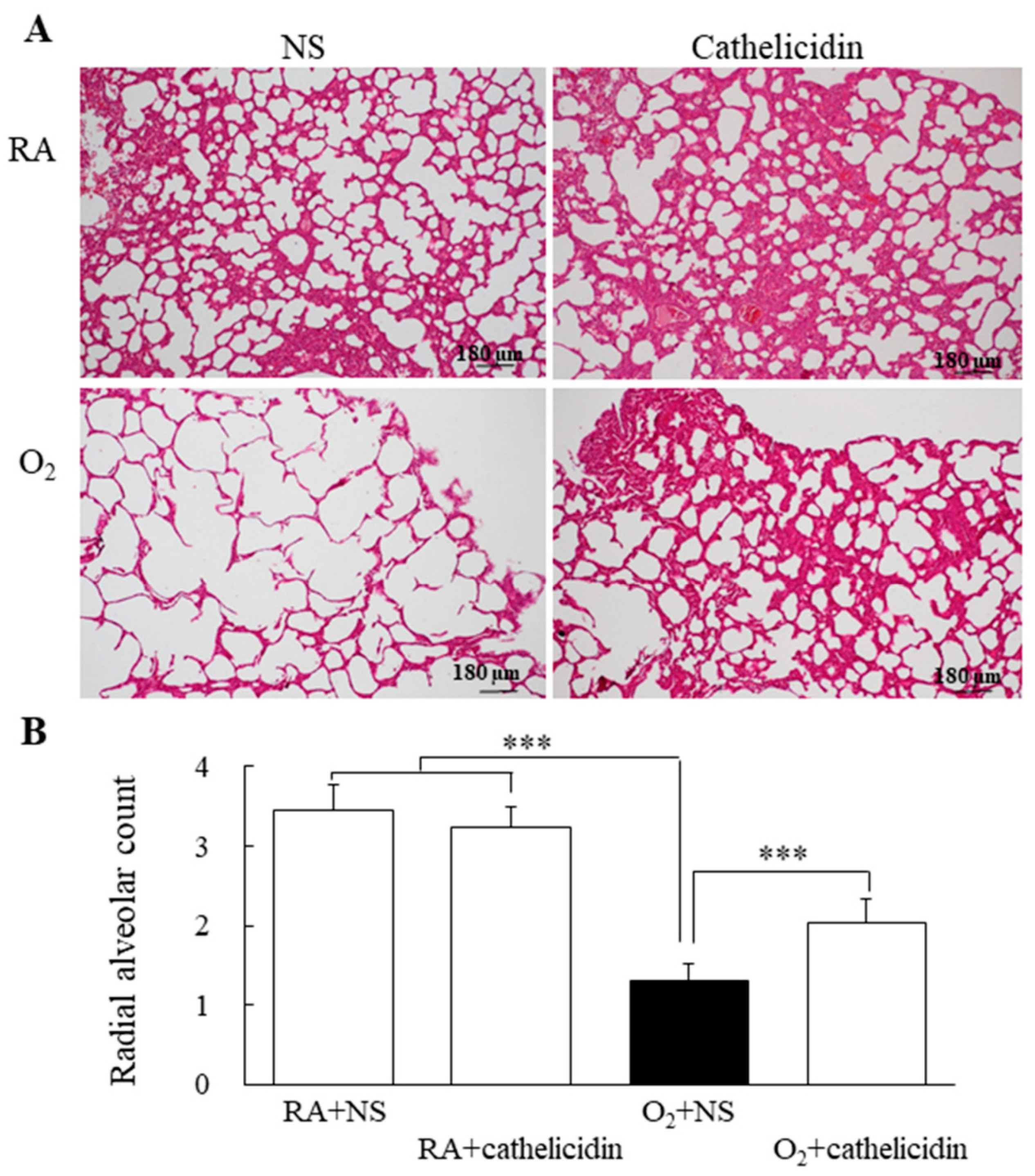 Antioxidants 11 02405 g007