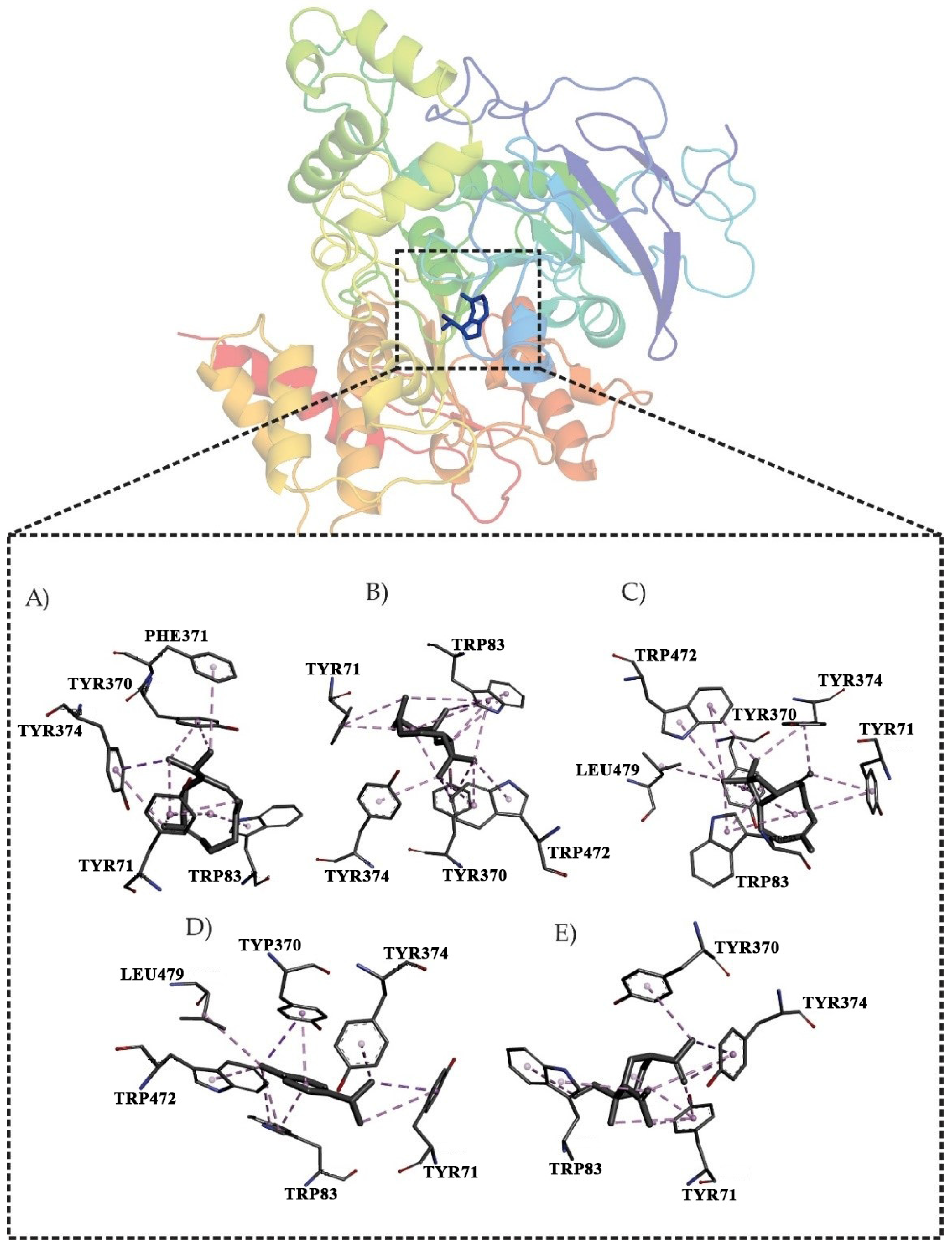 Antioxidants 11 02410 g001
