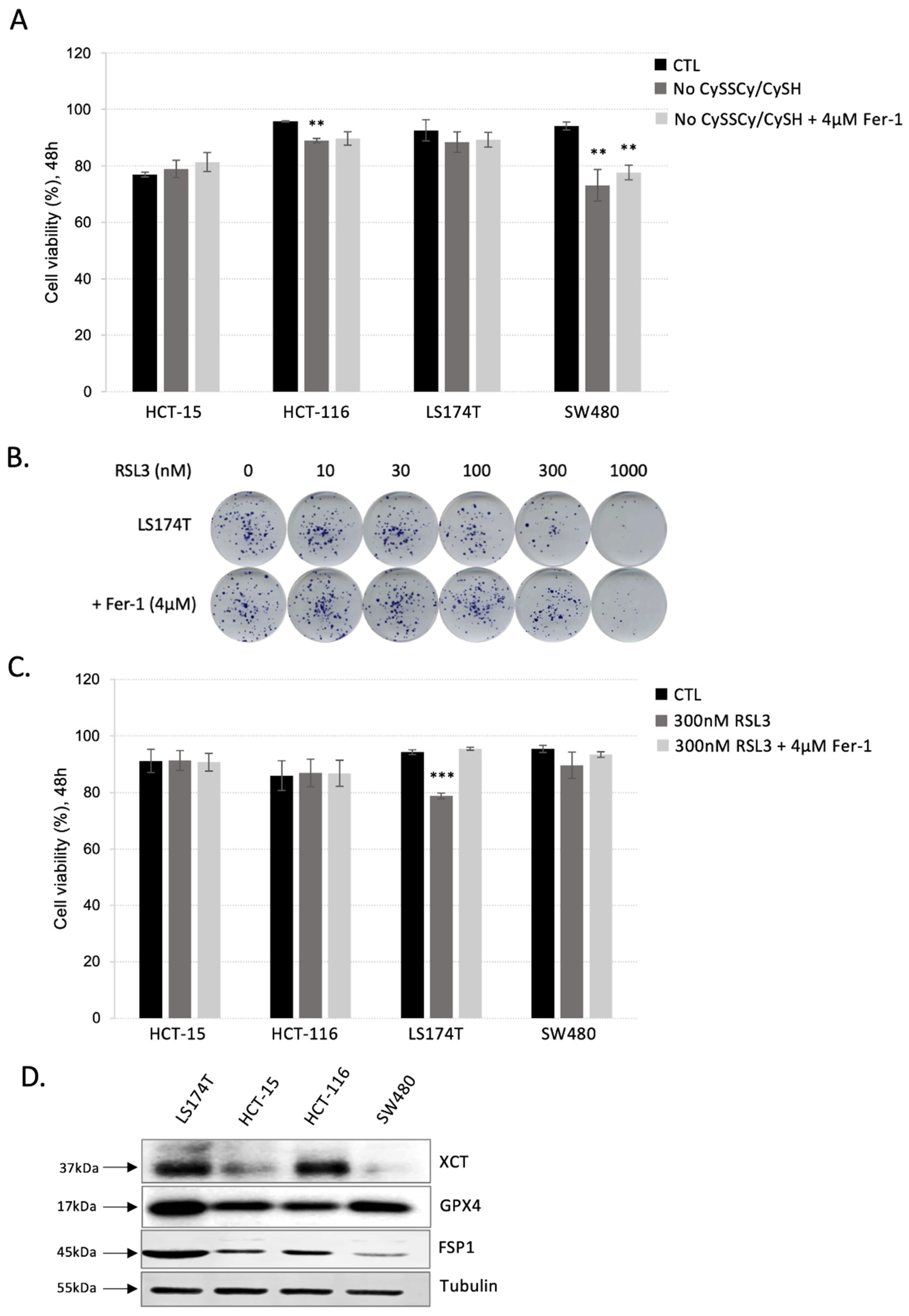 Antioxidants 11 02412 g001