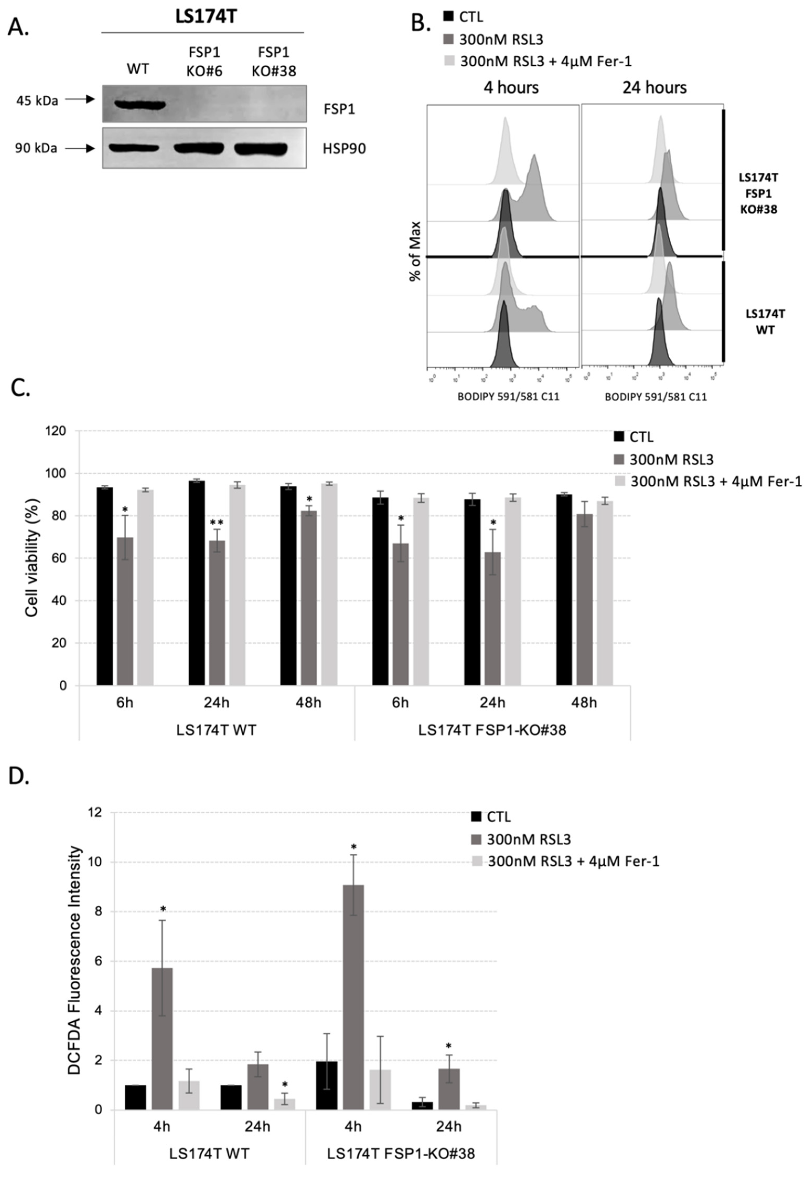 Antioxidants 11 02412 g002