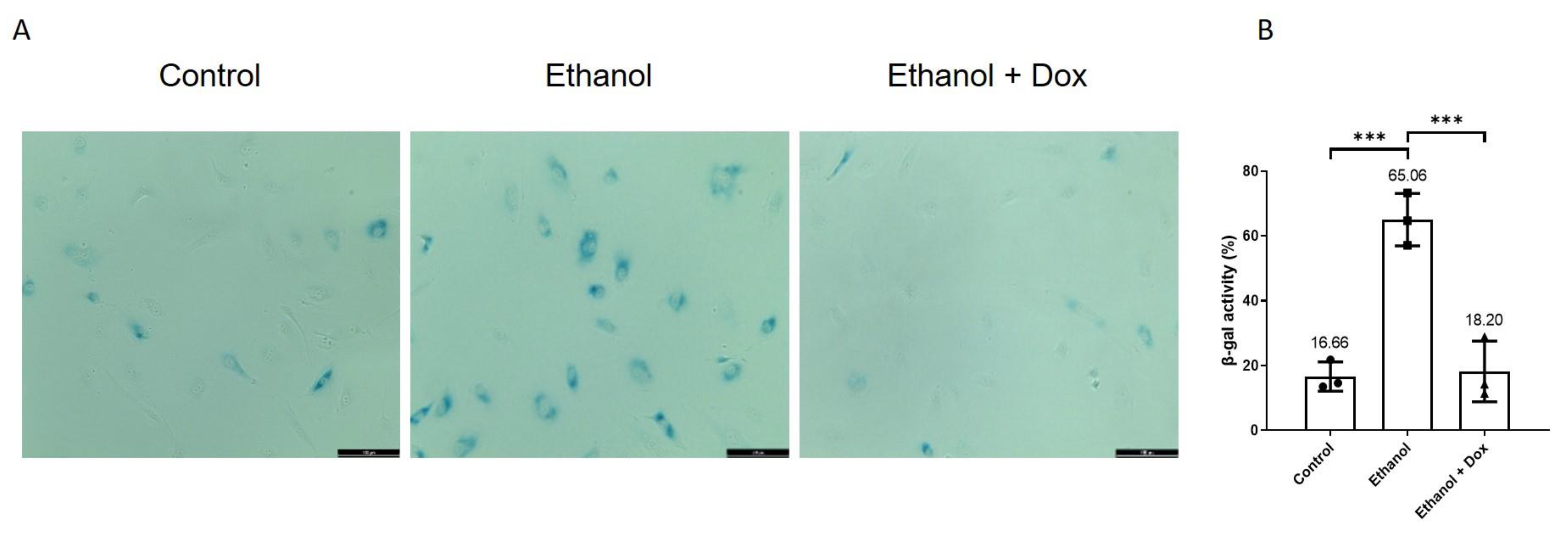 Antioxidants 11 02413 g005