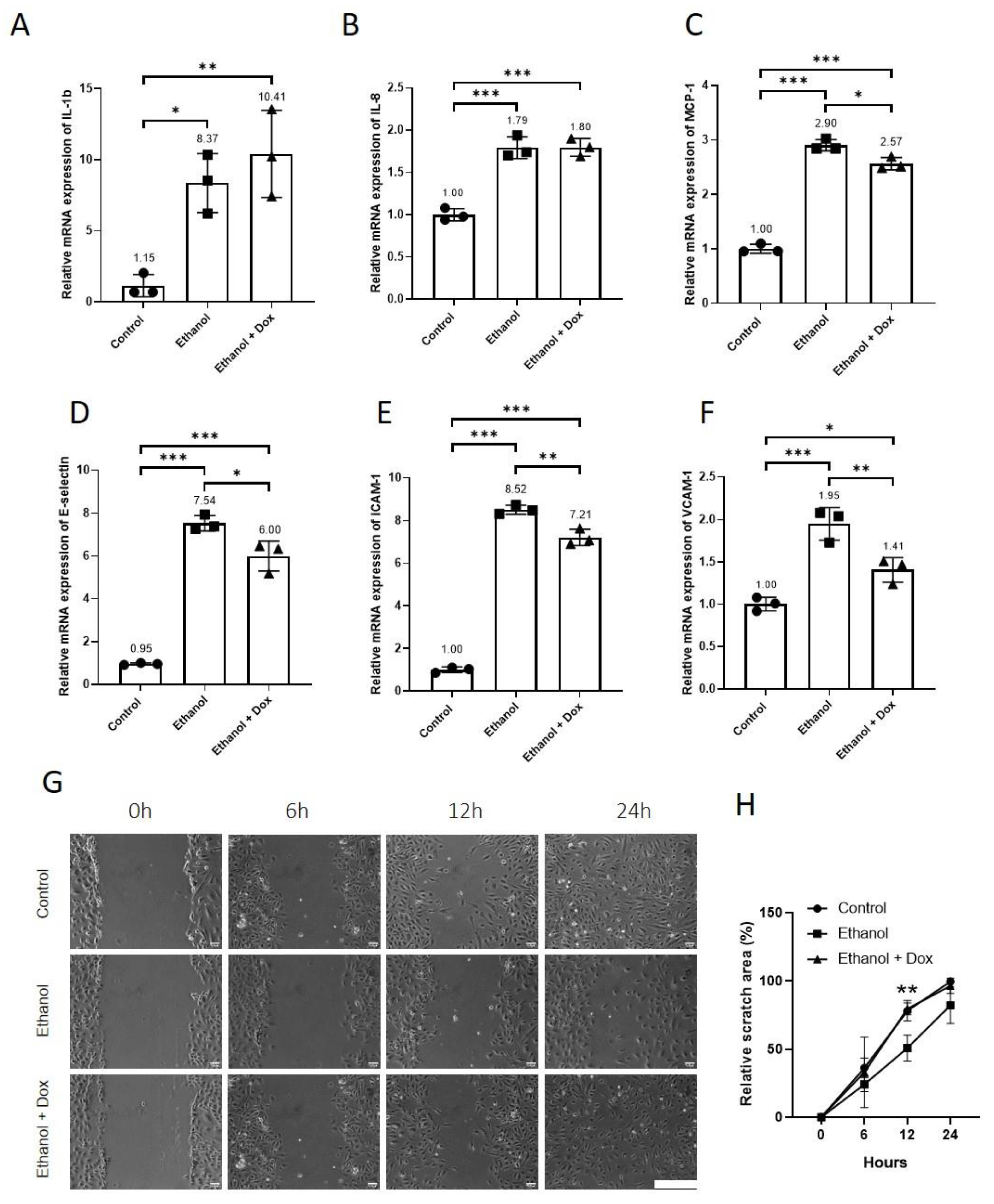 Antioxidants 11 02413 g006