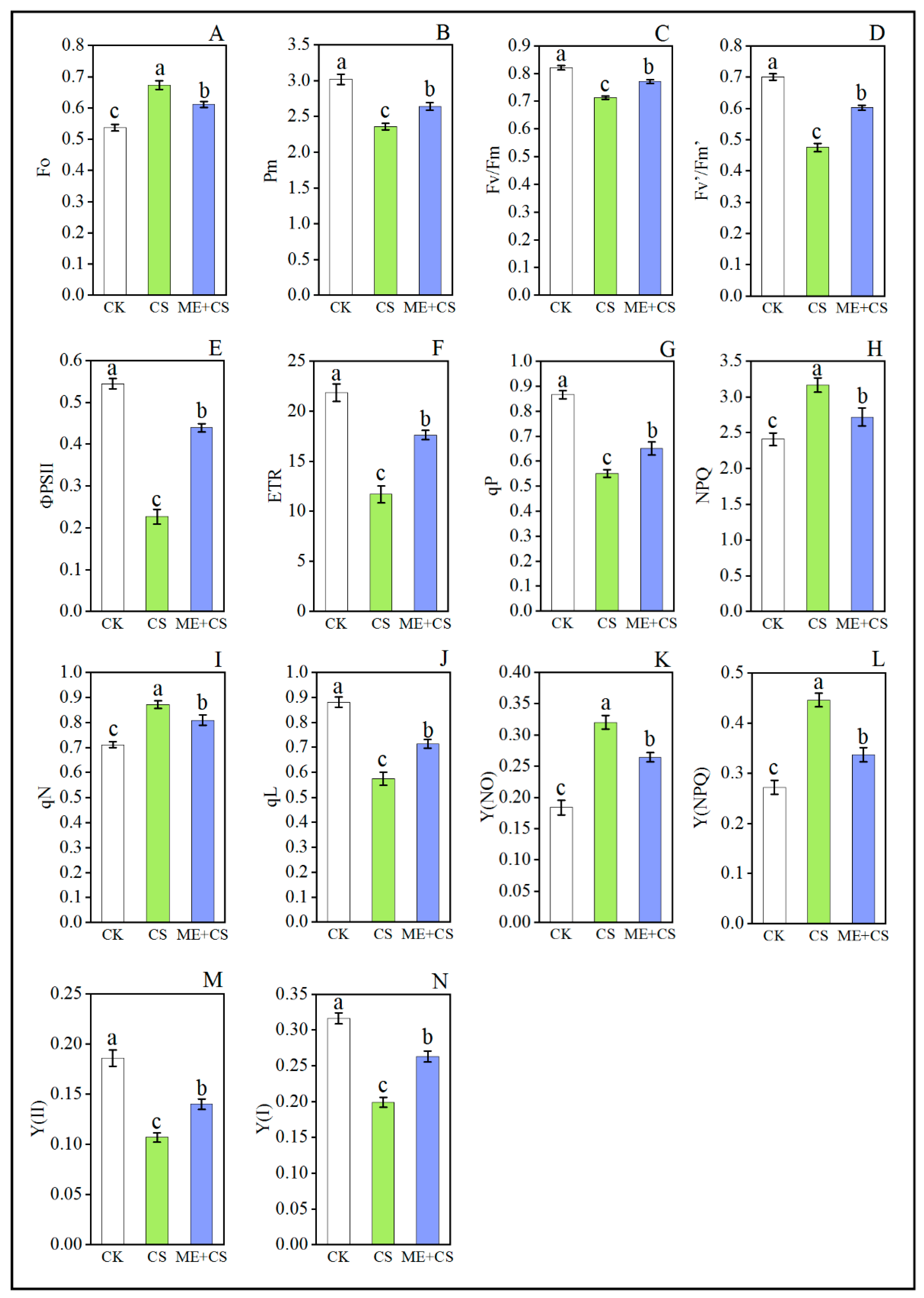 Antioxidants 11 02414 g005