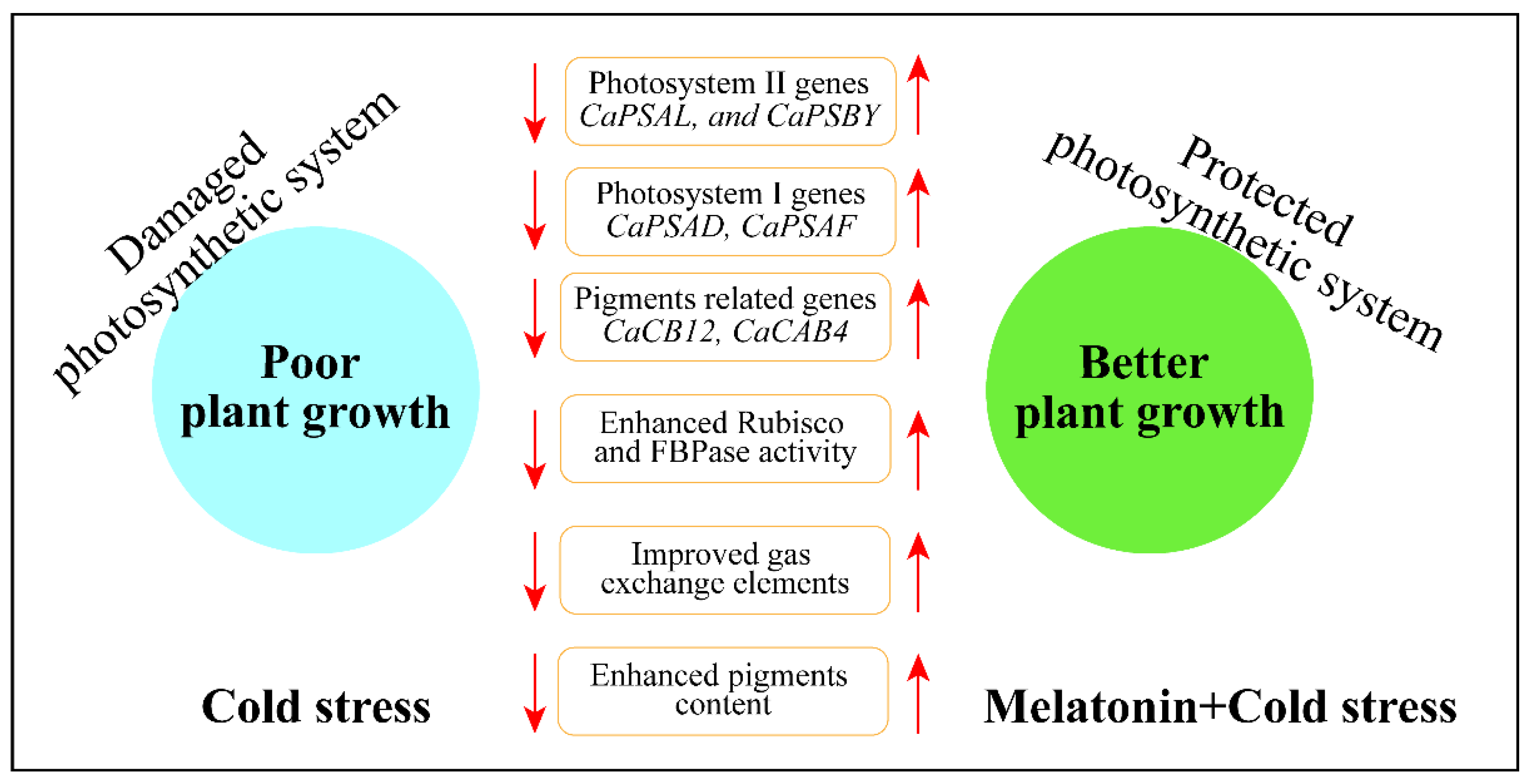Antioxidants 11 02414 g009