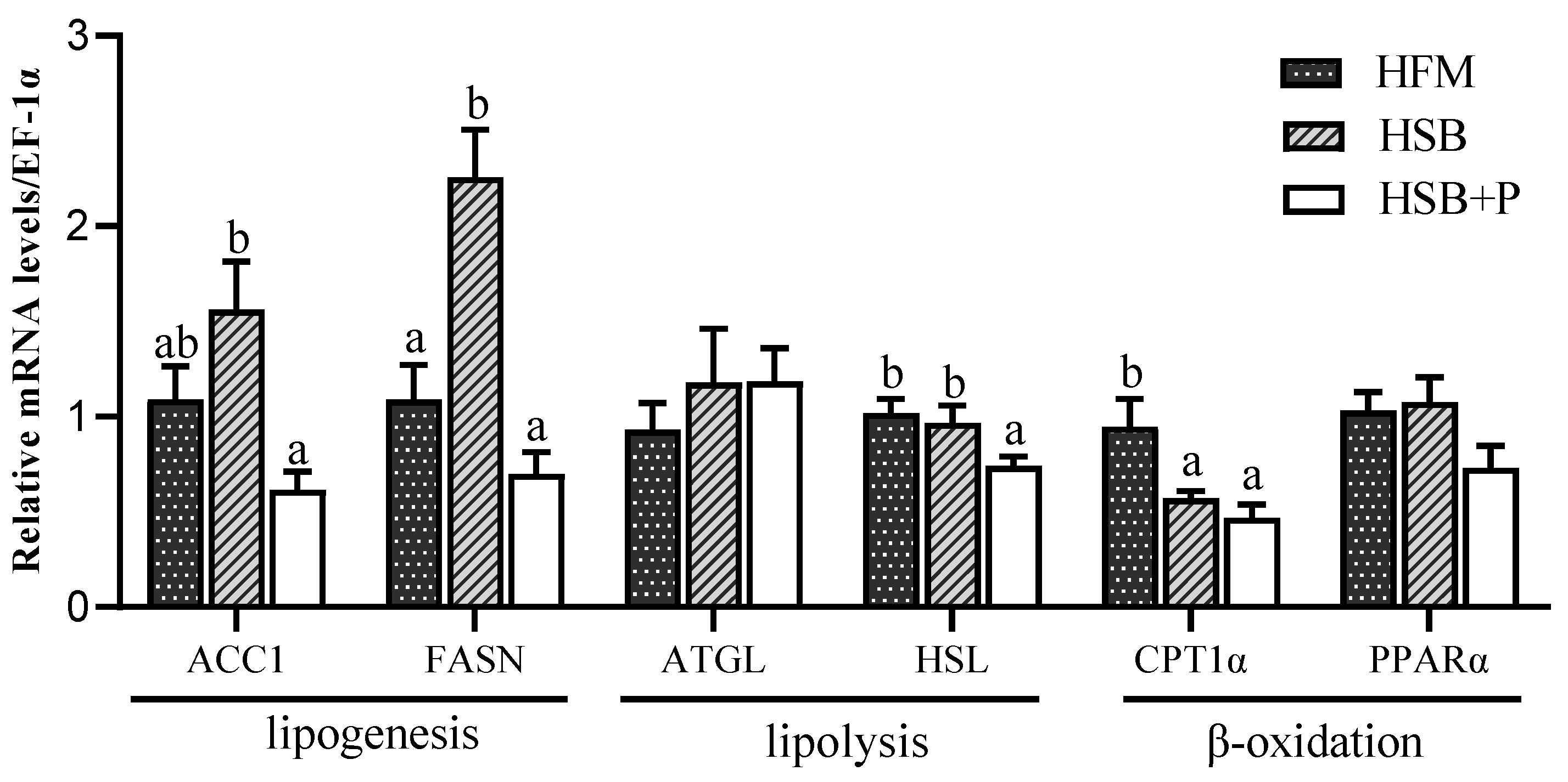 Antioxidants 11 02415 g001 Antioxidants 11 02415 g001