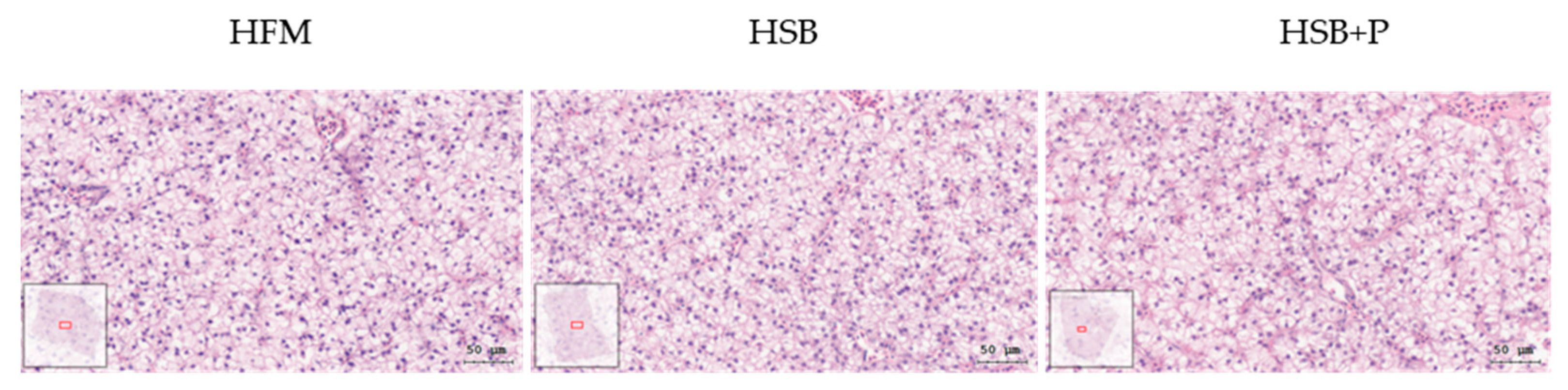 Antioxidants 11 02415 g002 Antioxidants 11 02415 g002