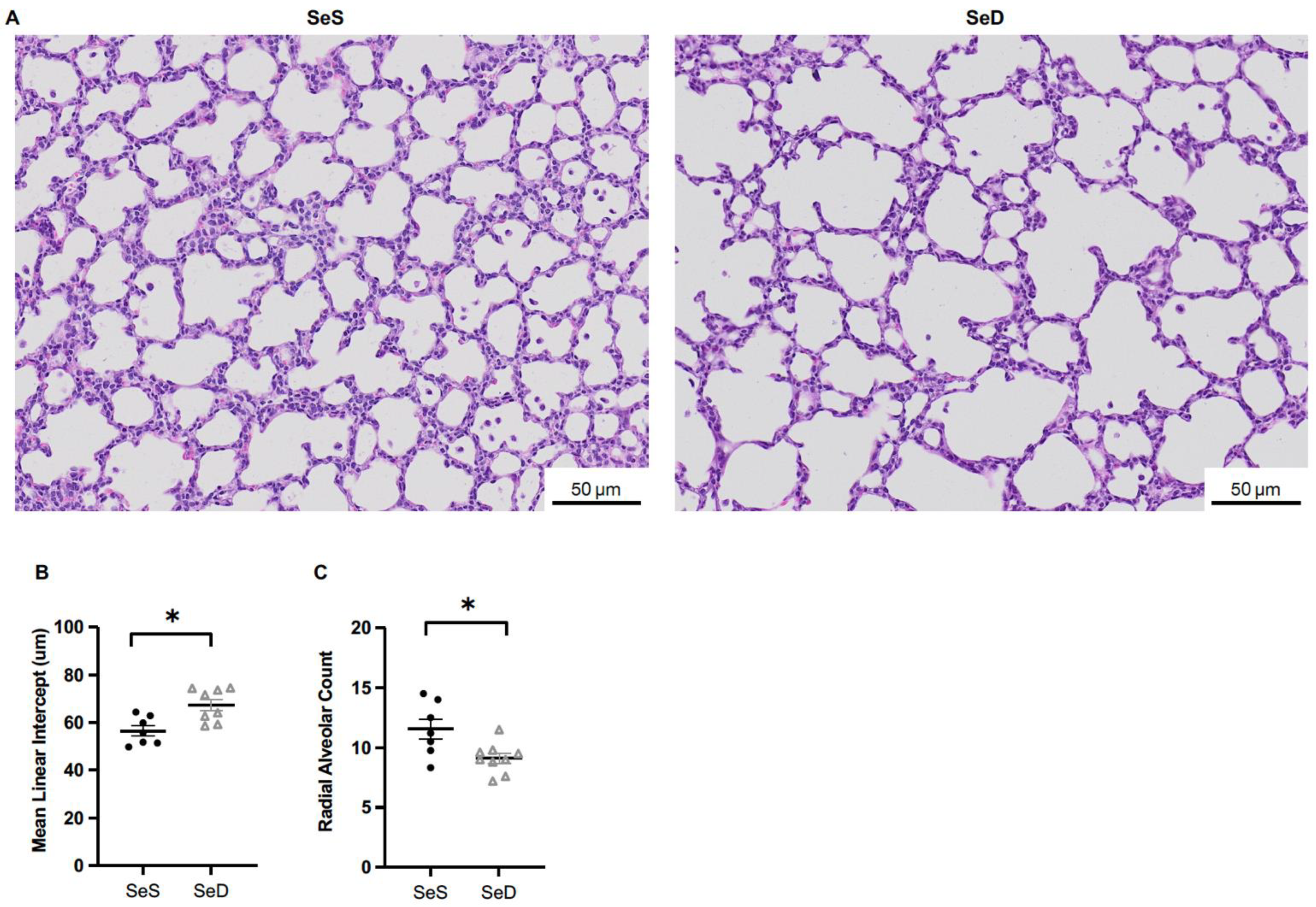 Antioxidants 11 02417 g002