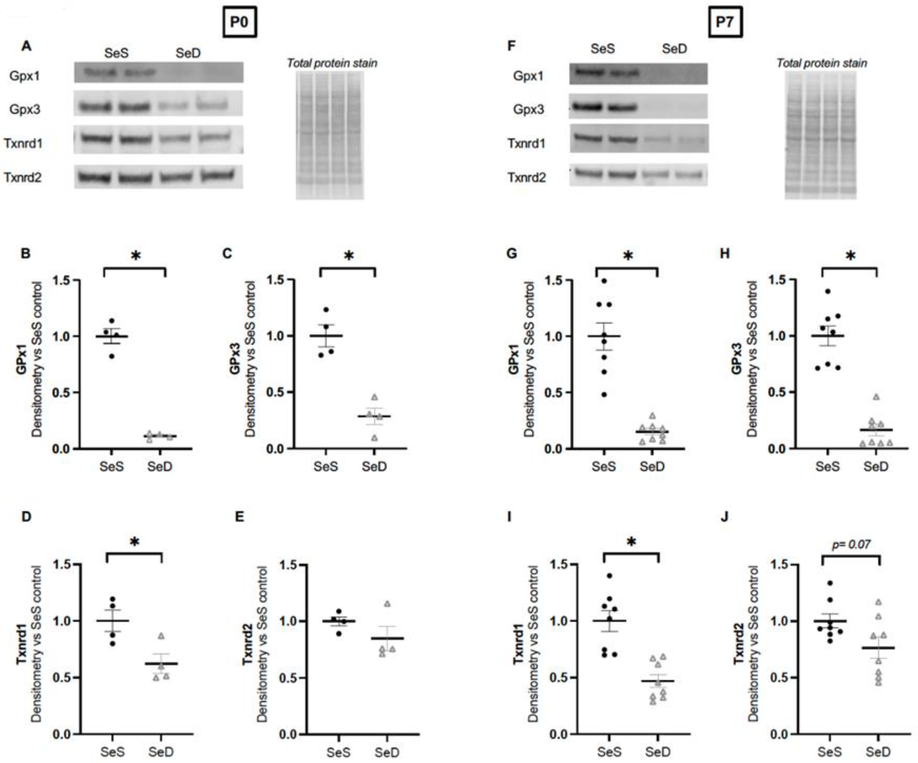 Antioxidants 11 02417 g004