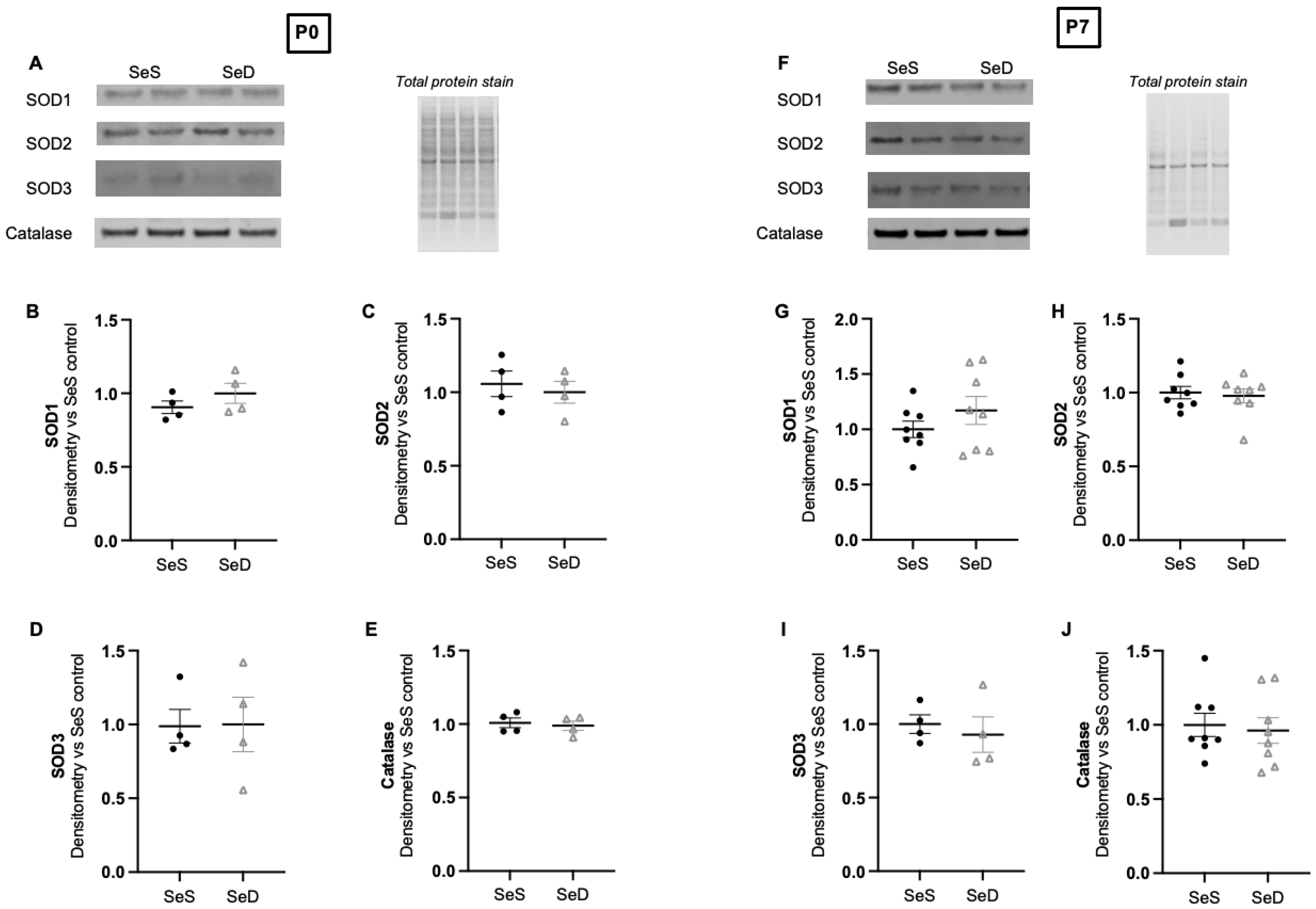 Antioxidants 11 02417 g007