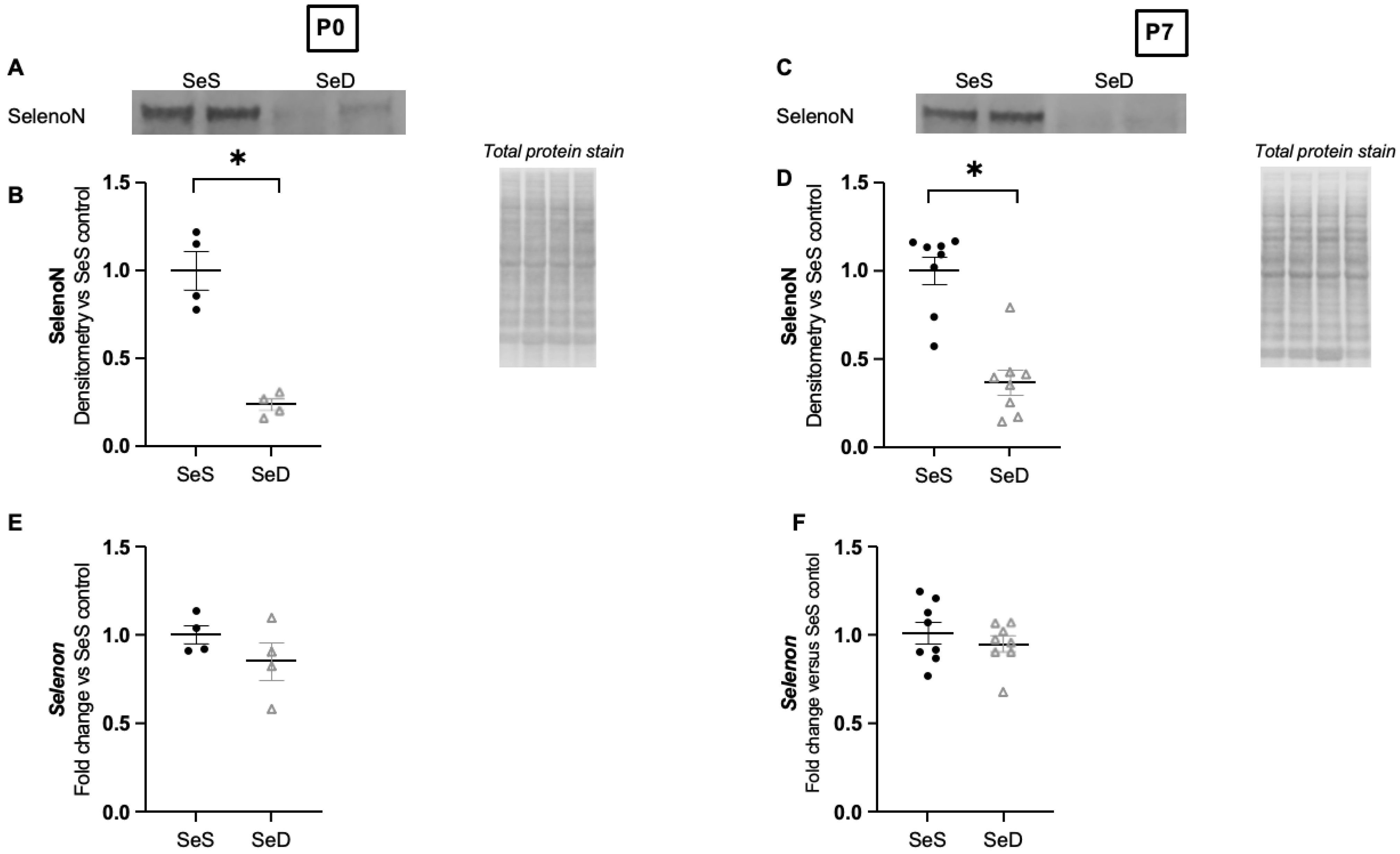Antioxidants 11 02417 g008