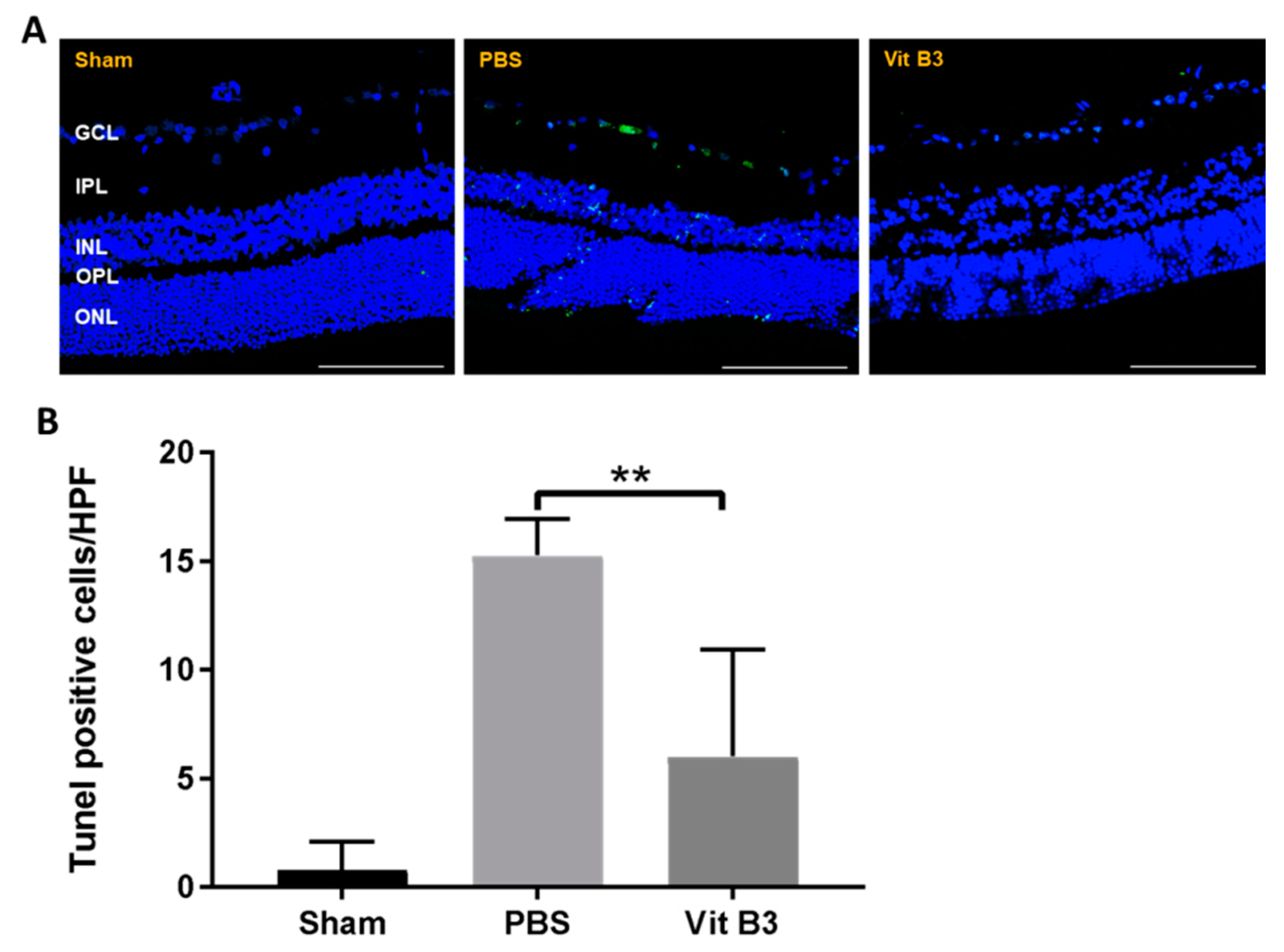 Antioxidants 11 02422 g003