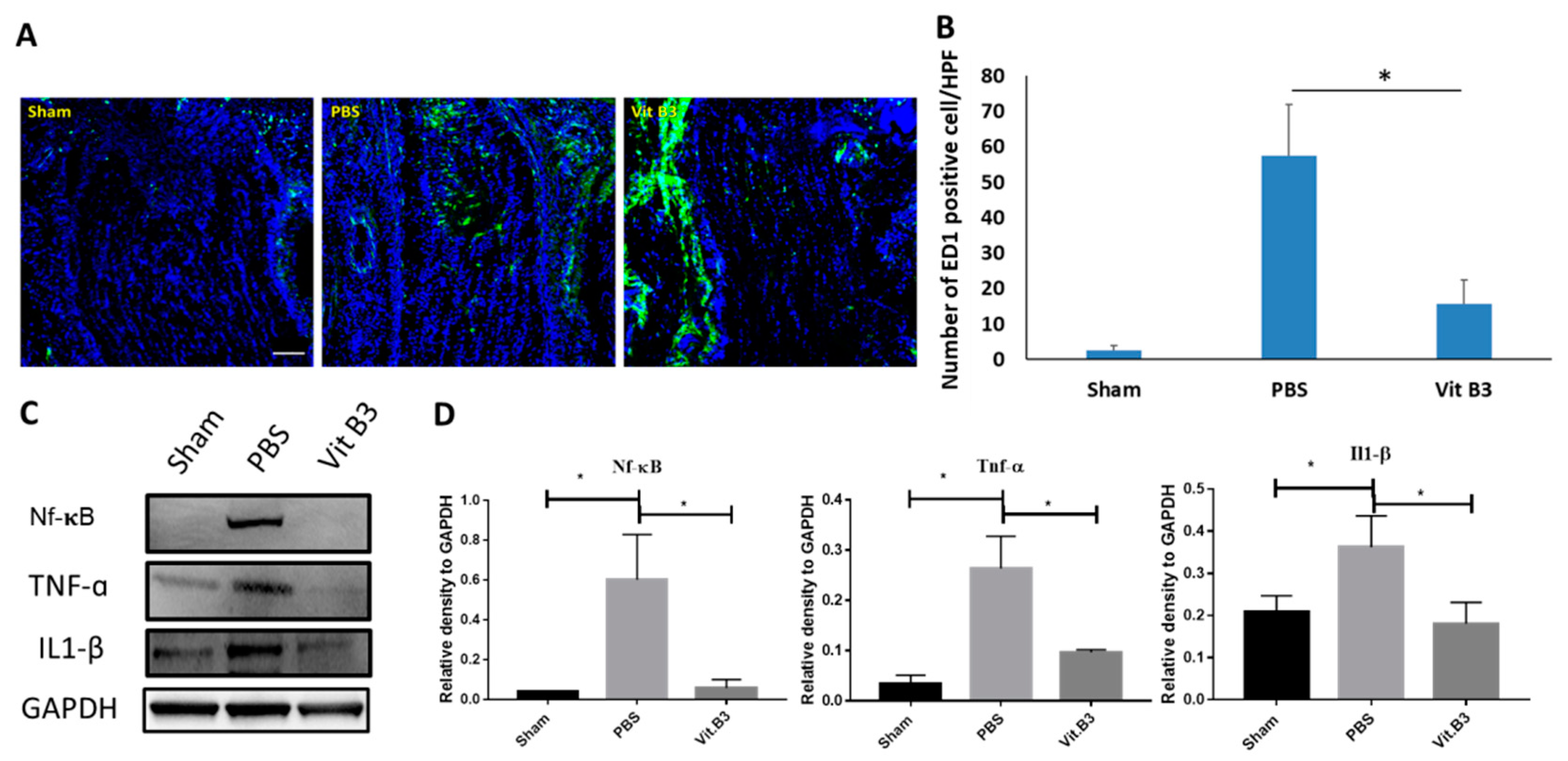 Antioxidants 11 02422 g004